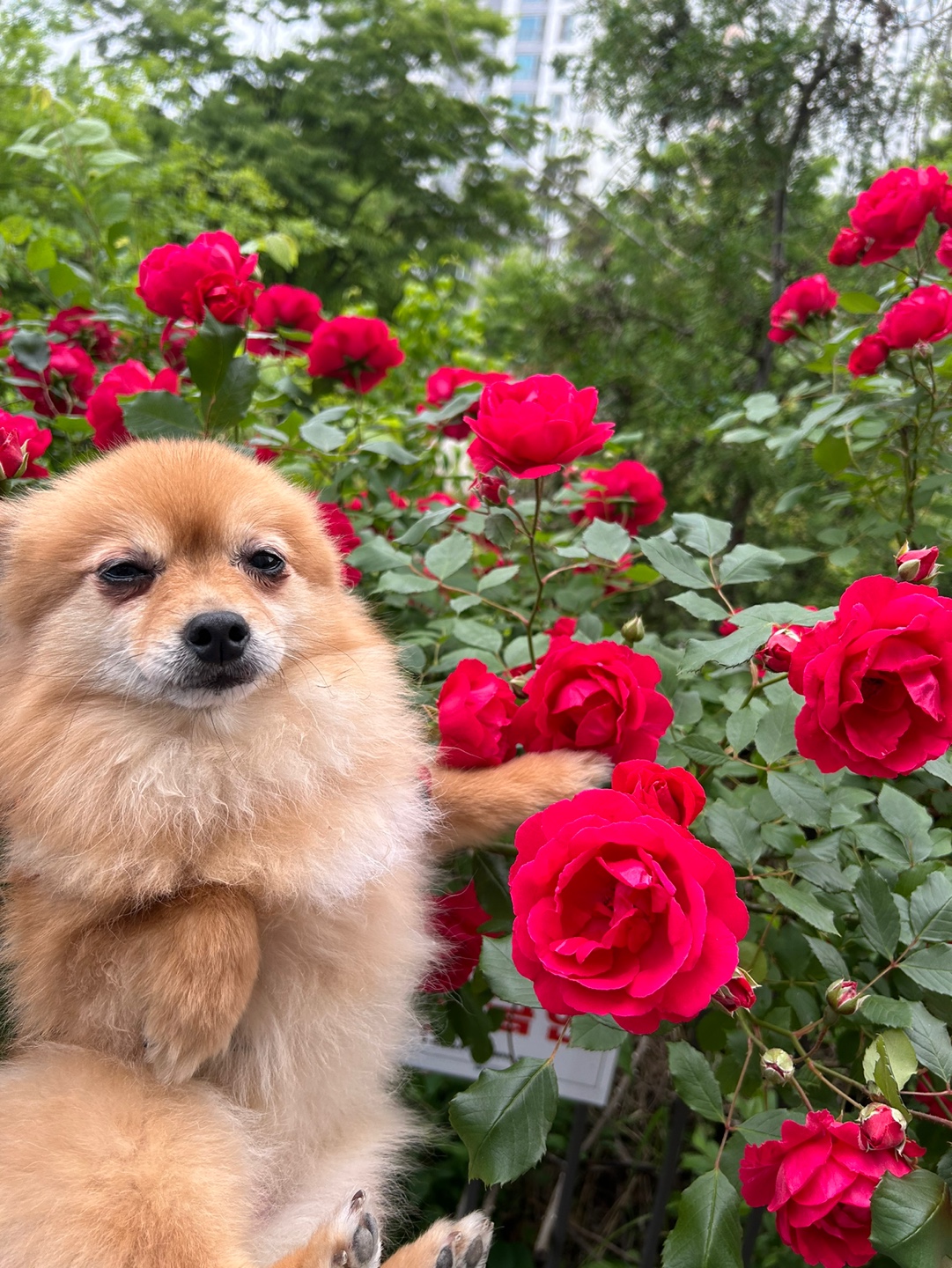 티거(곤지암-워터) 벌써 3년됐네요~