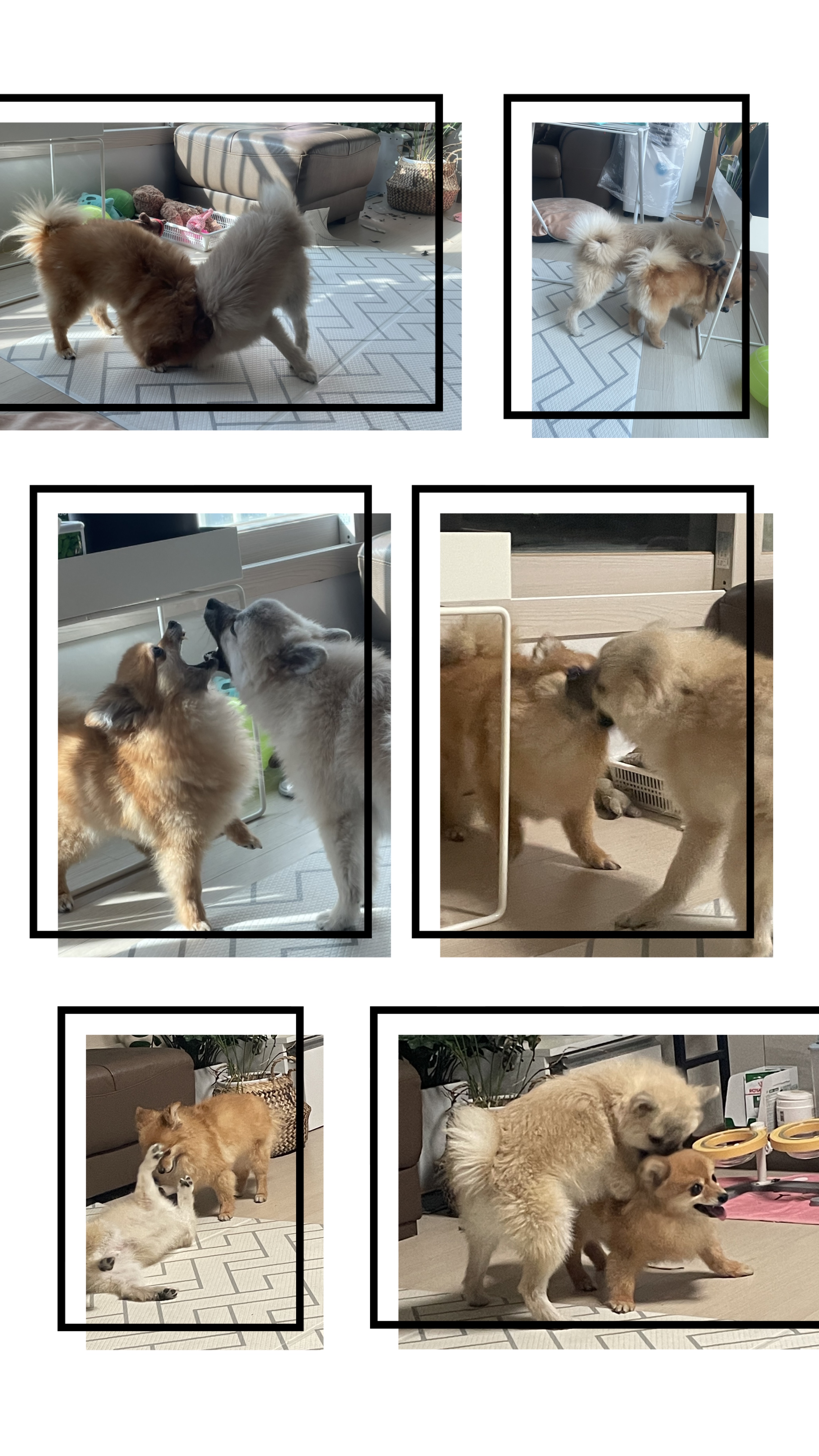 티거(곤지암-워터) 벌써 3년됐네요~