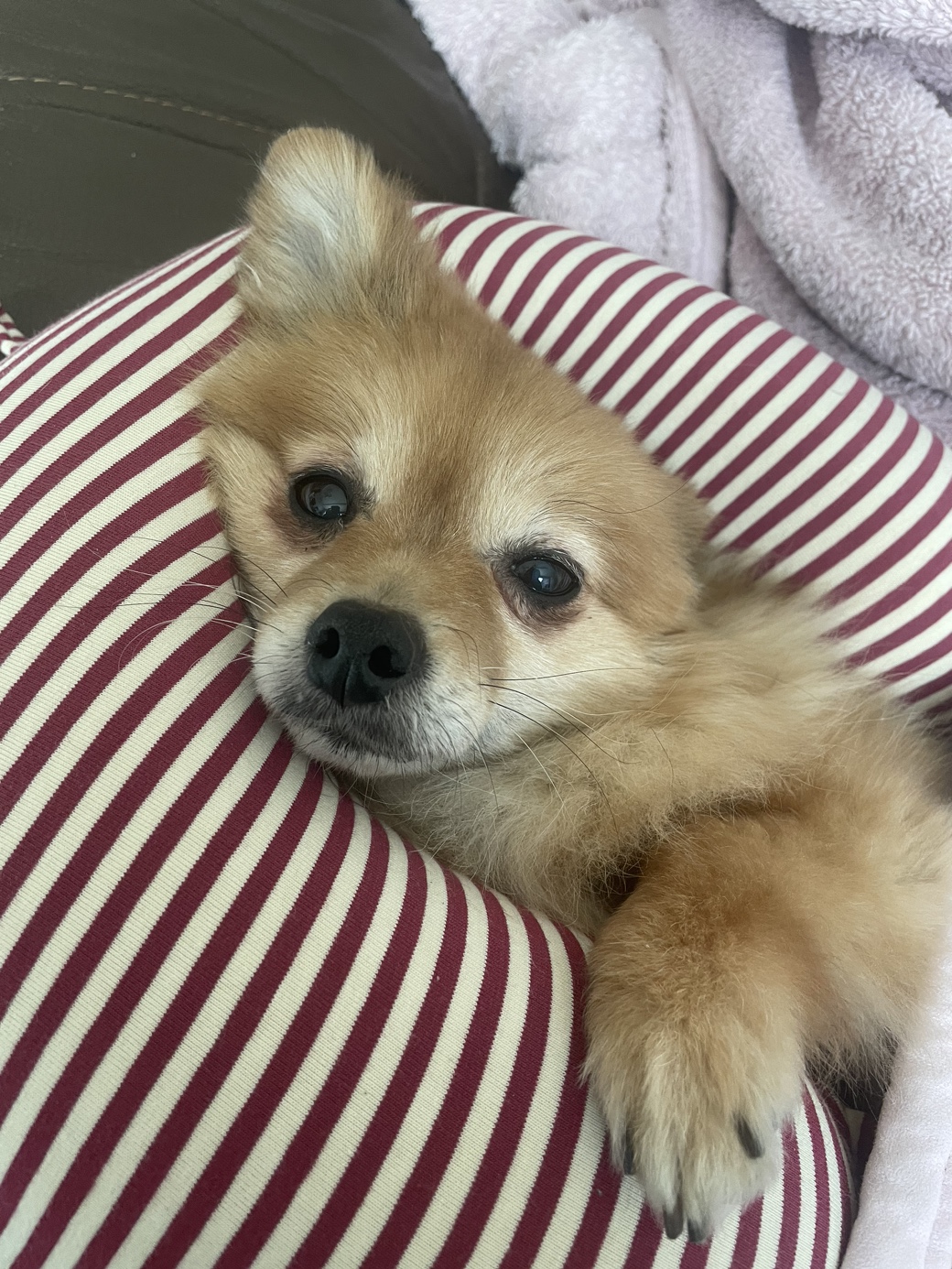 티거(곤지암-워터) 벌써 3년됐네요~