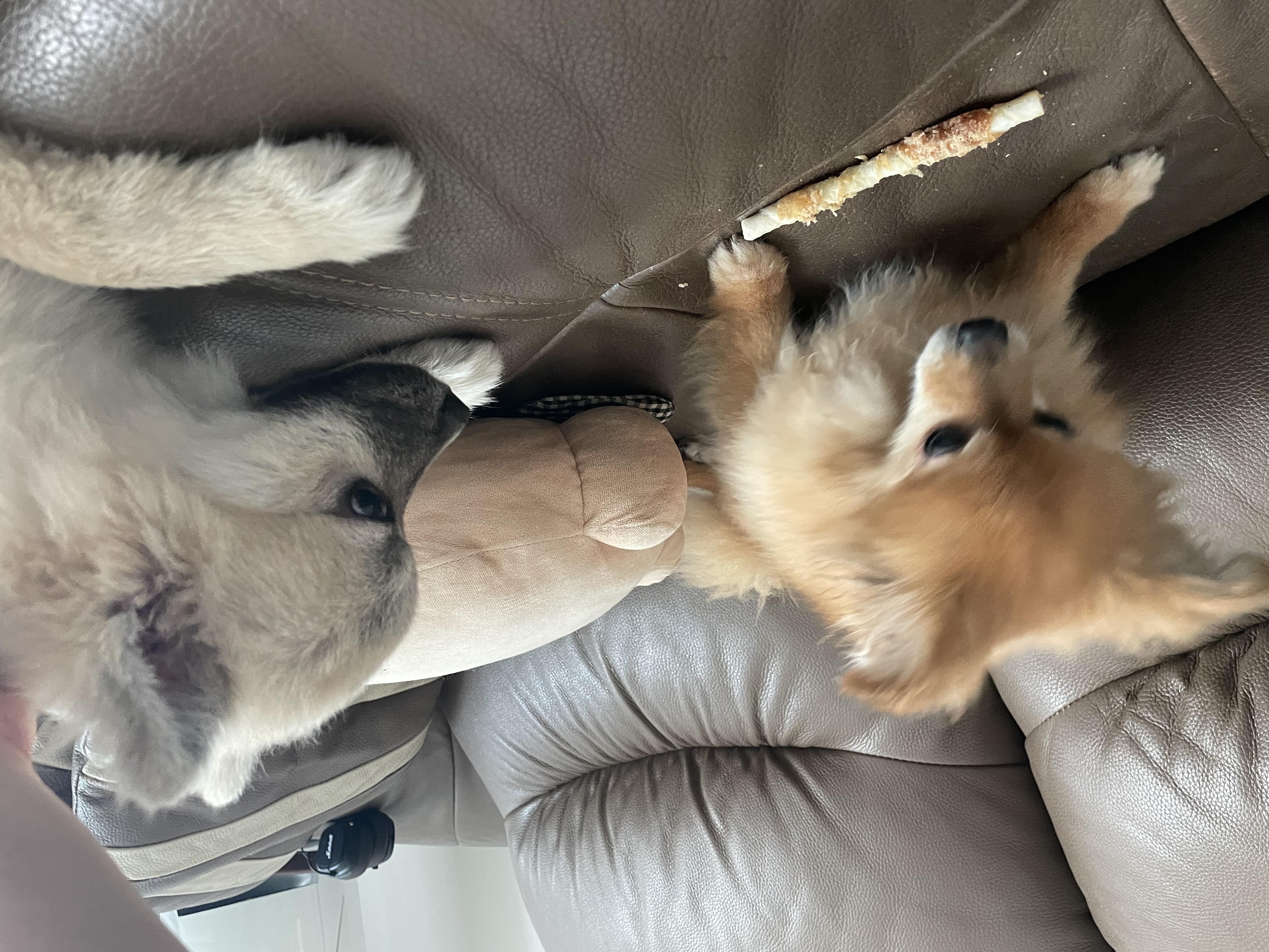 티거(곤지암-워터) 벌써 3년됐네요~