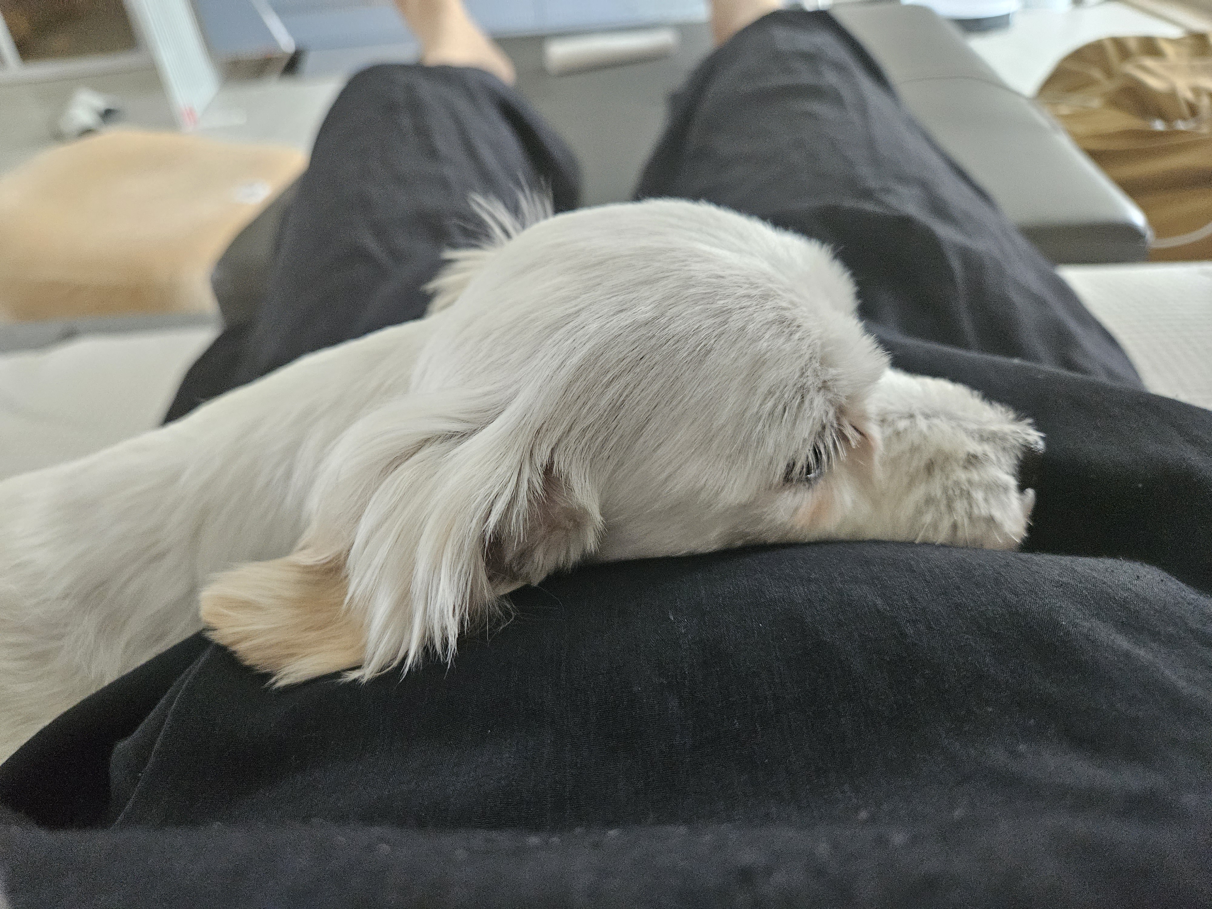 슈아임보한달째