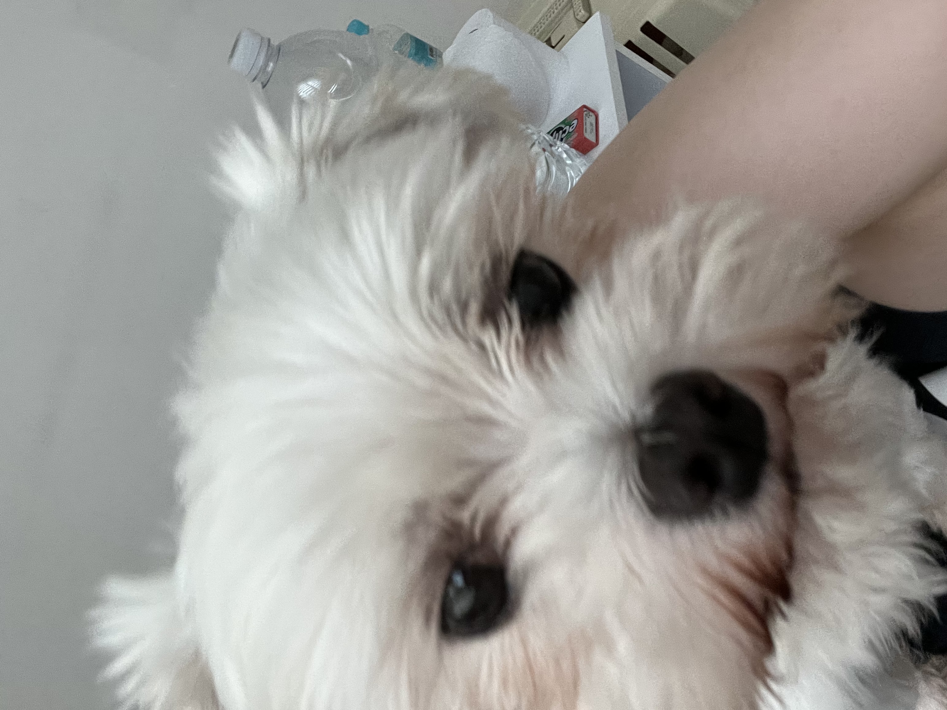 예티임보 1개월차 후기