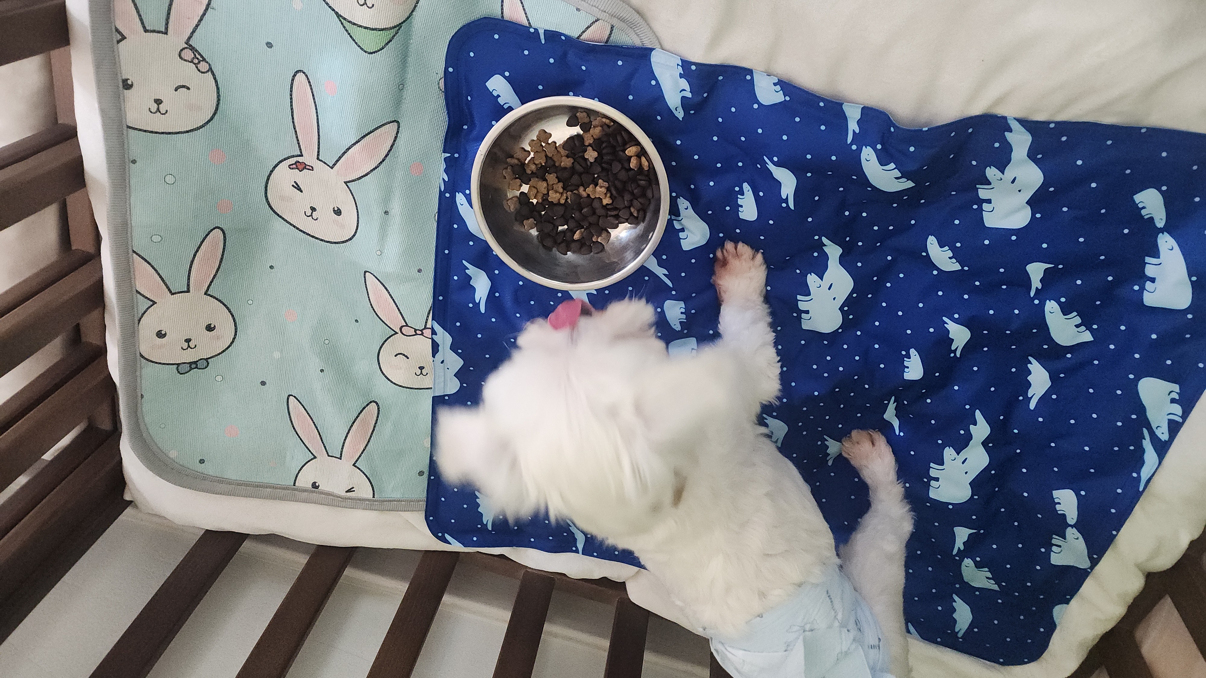 예티임보 1개월차 후기