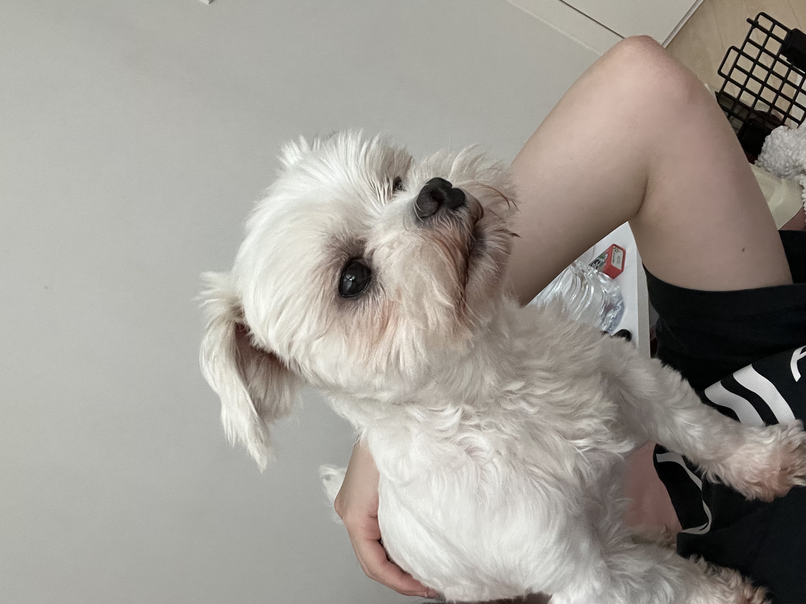 예티임보 1개월차 후기