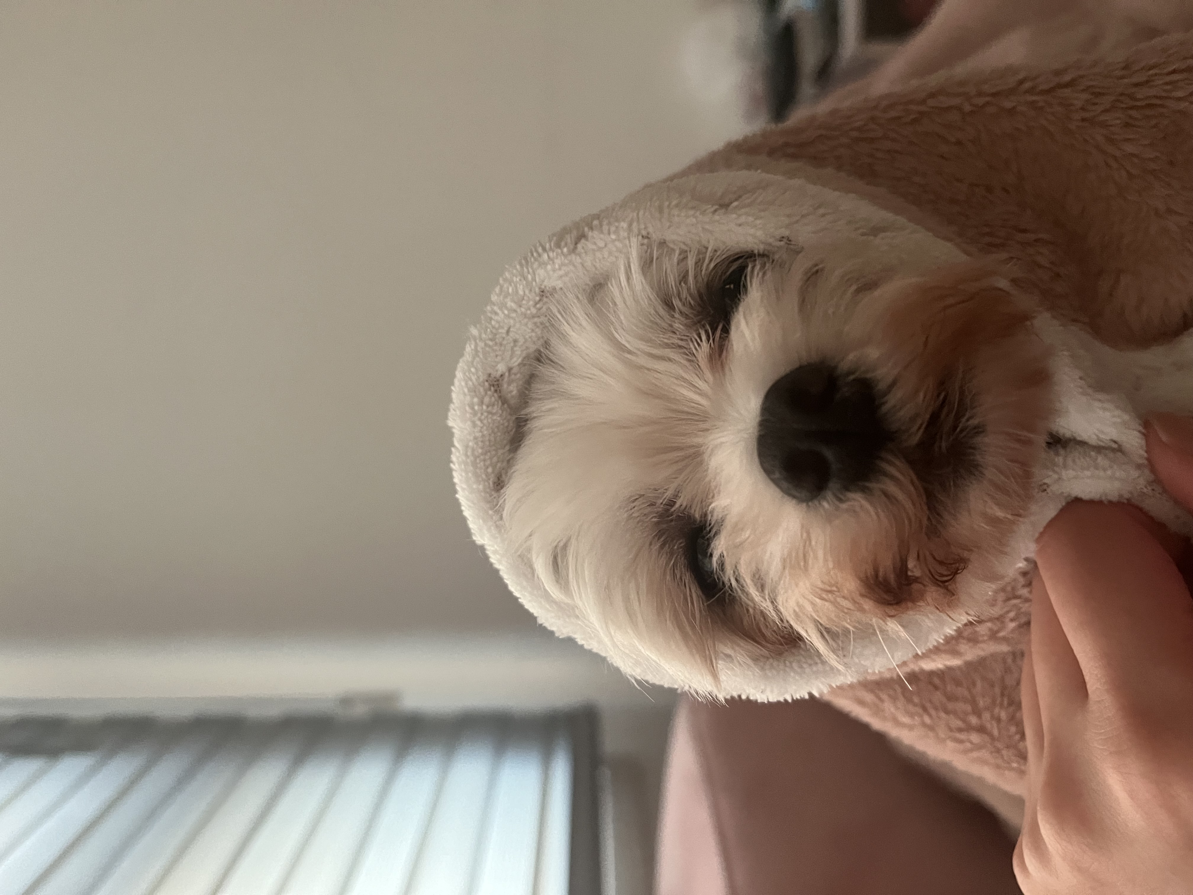 예티임보 1개월차 후기