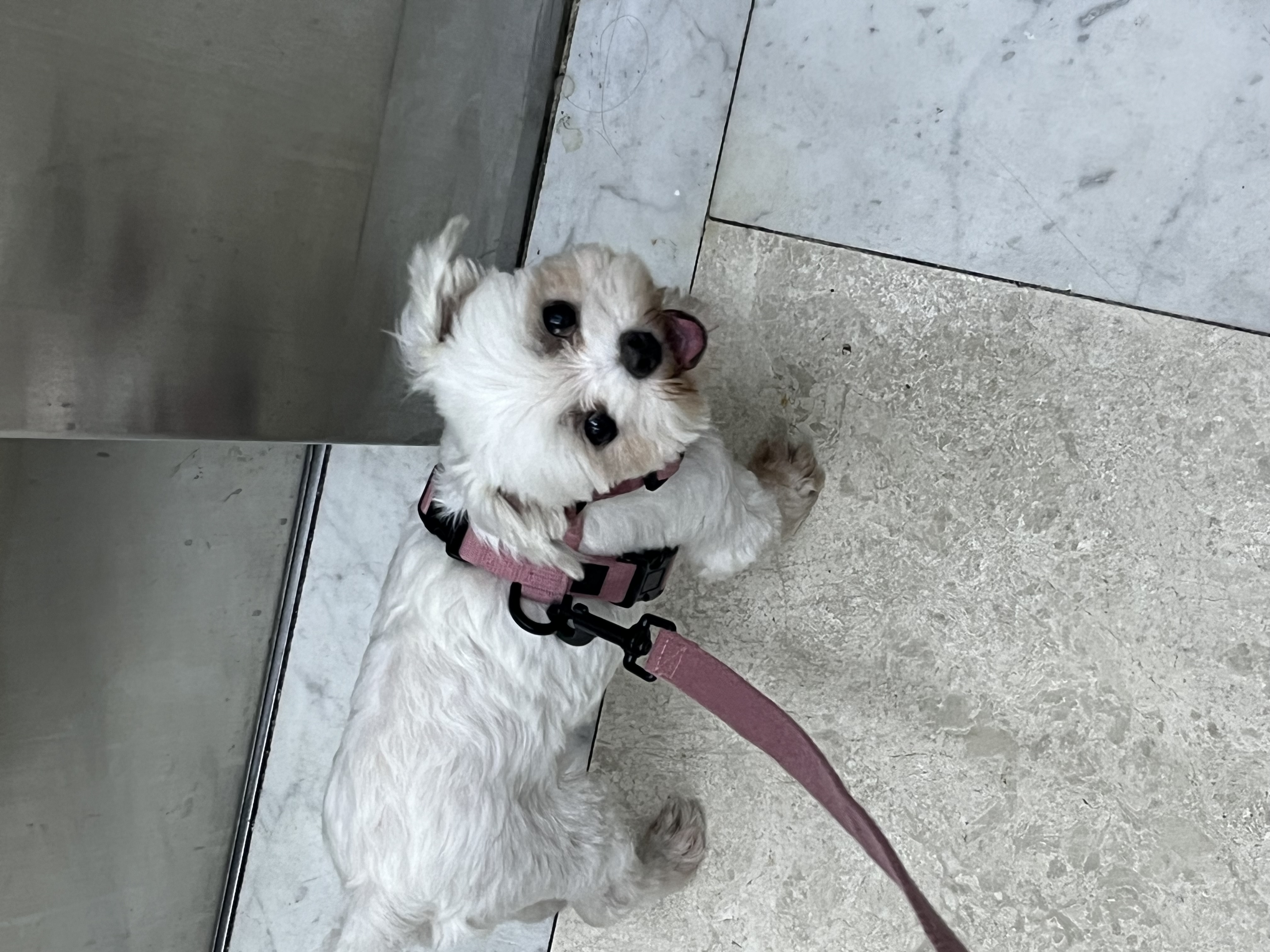 예티임보 1개월차 후기