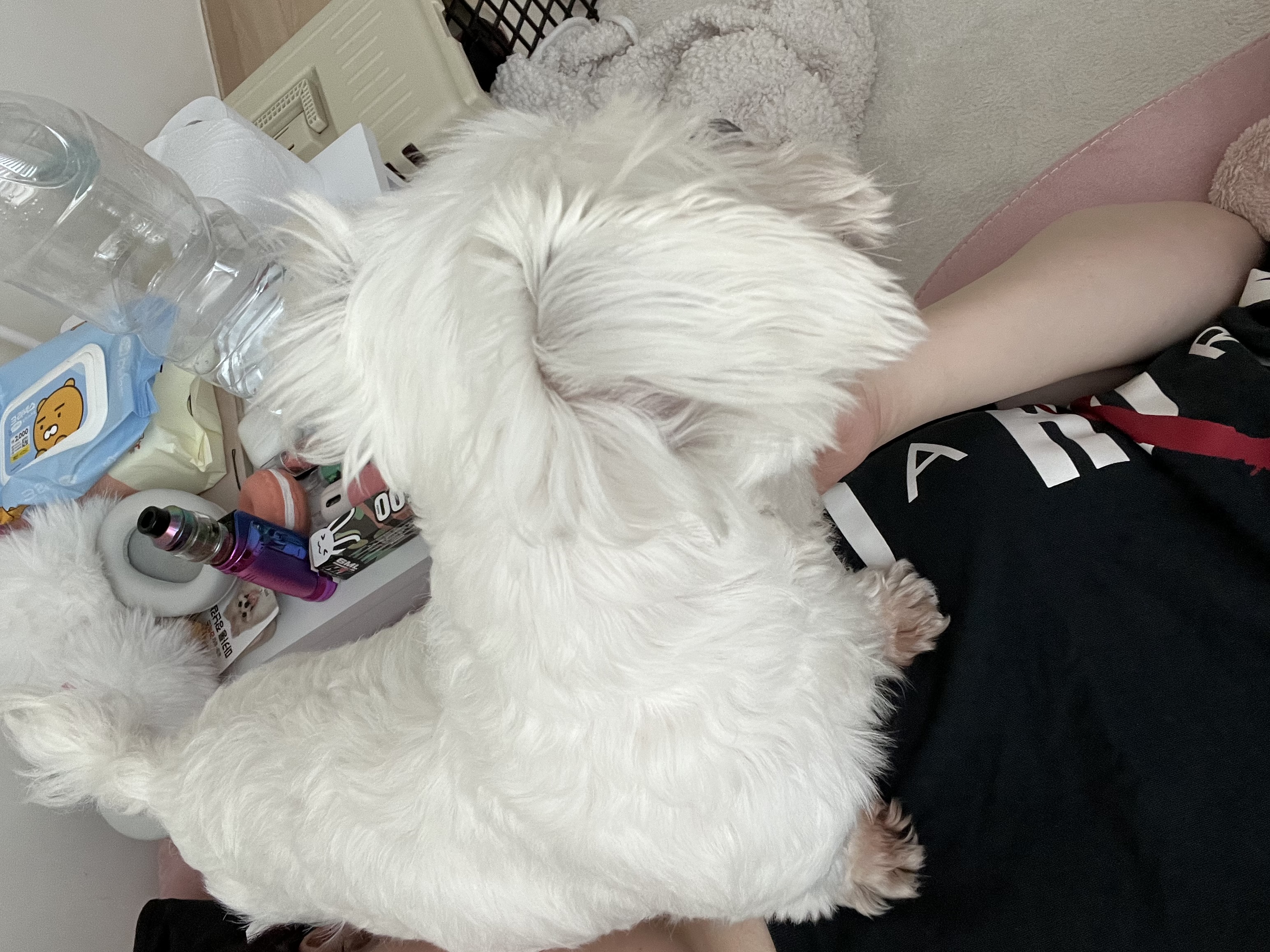 예티임보 1개월차 후기