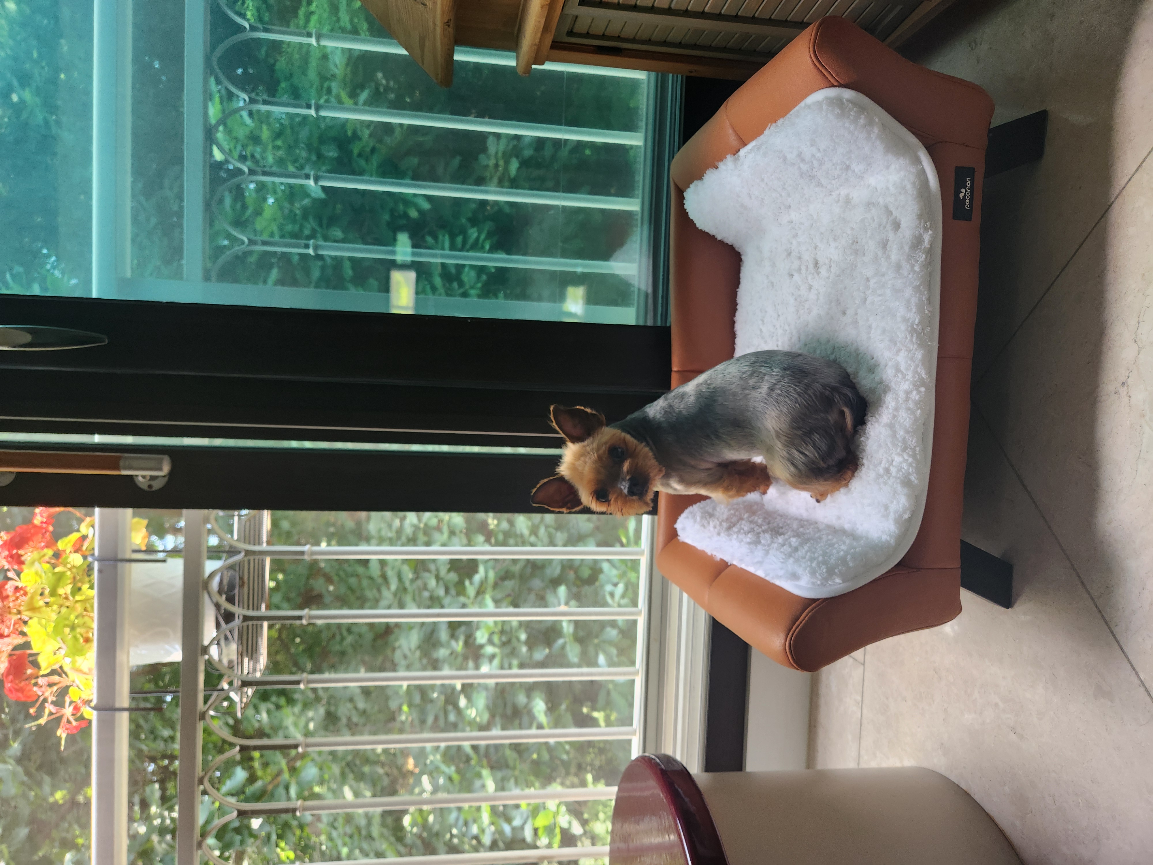 요룽이 임보 1개월차