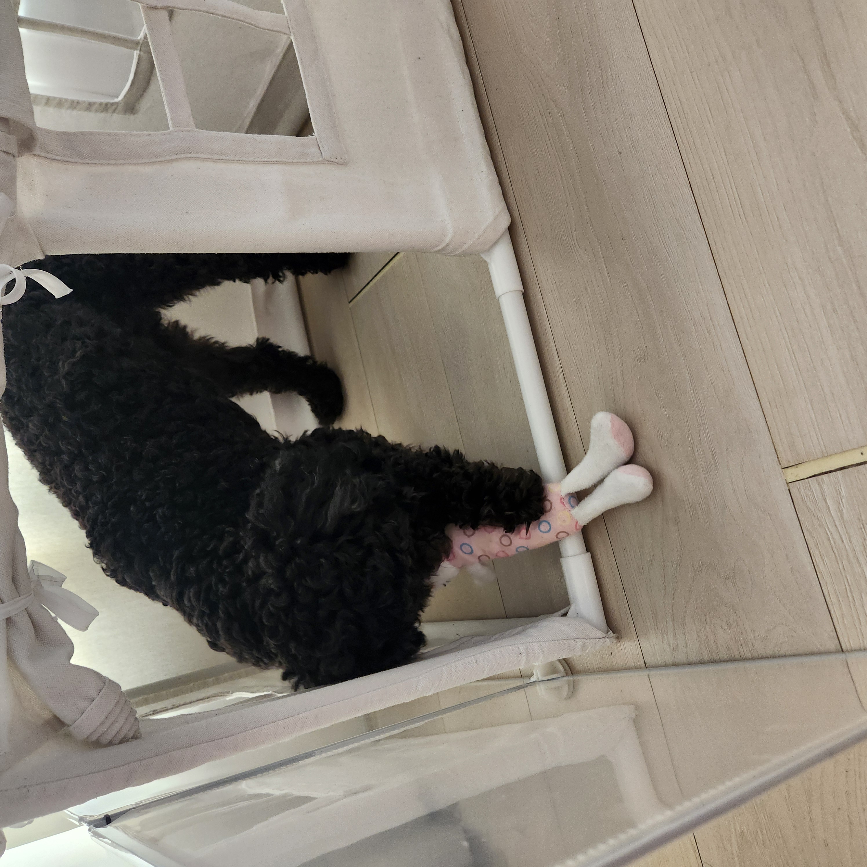 여들이 (깜비) 세번째 이야기