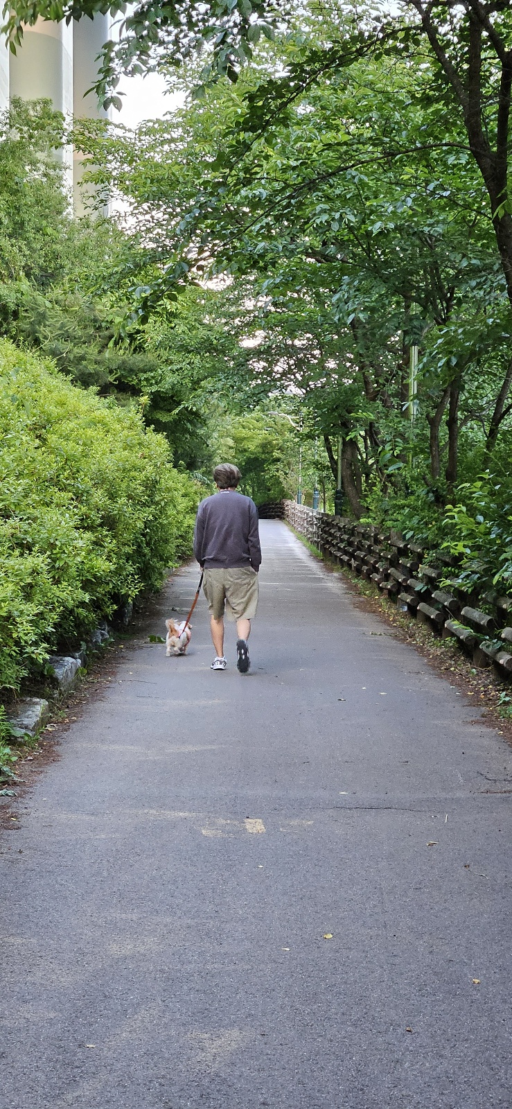 금순(구_용순) 입양 후 소식
