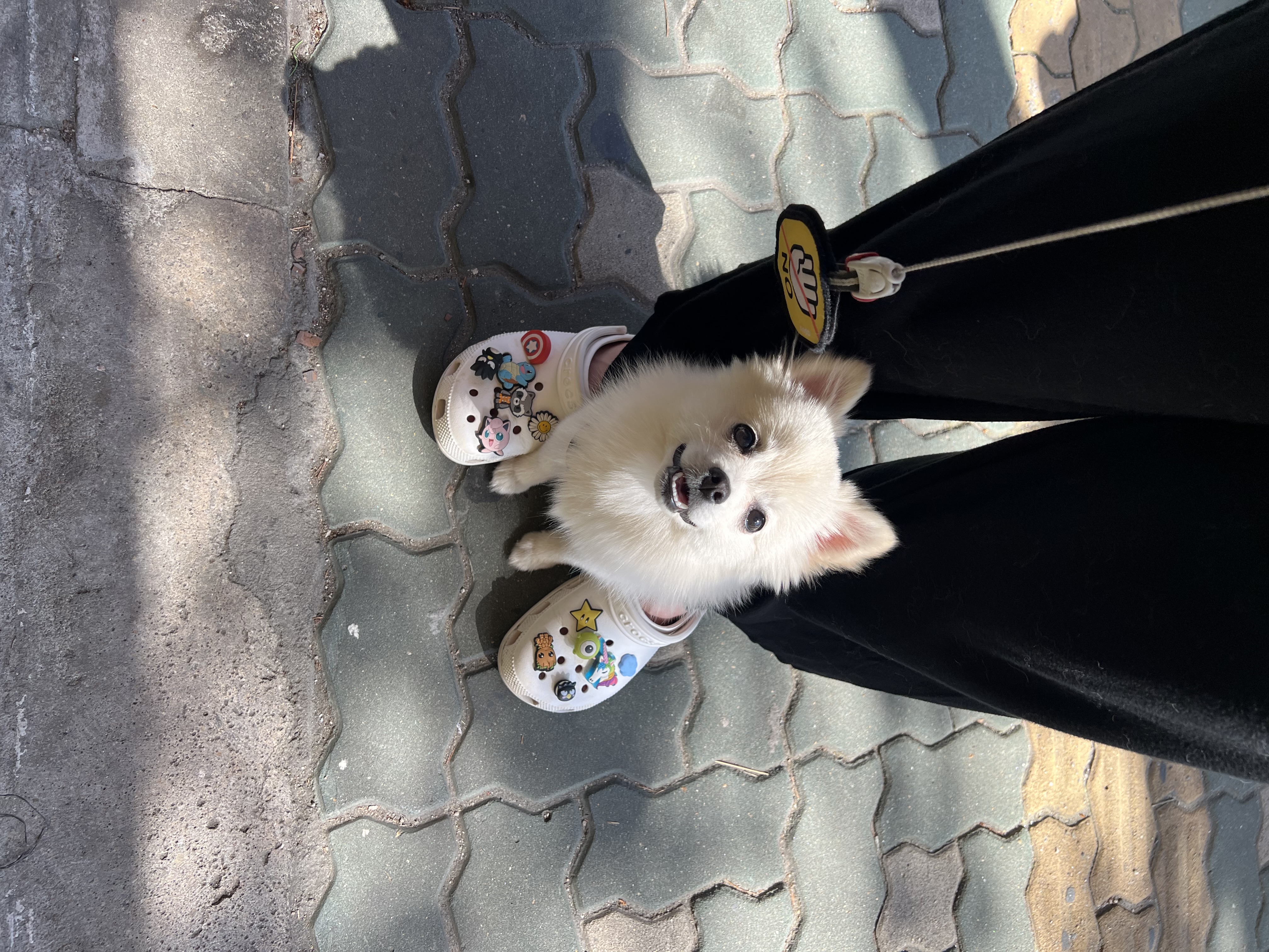 소리(구 소령이) 가족된지 세달됐어요