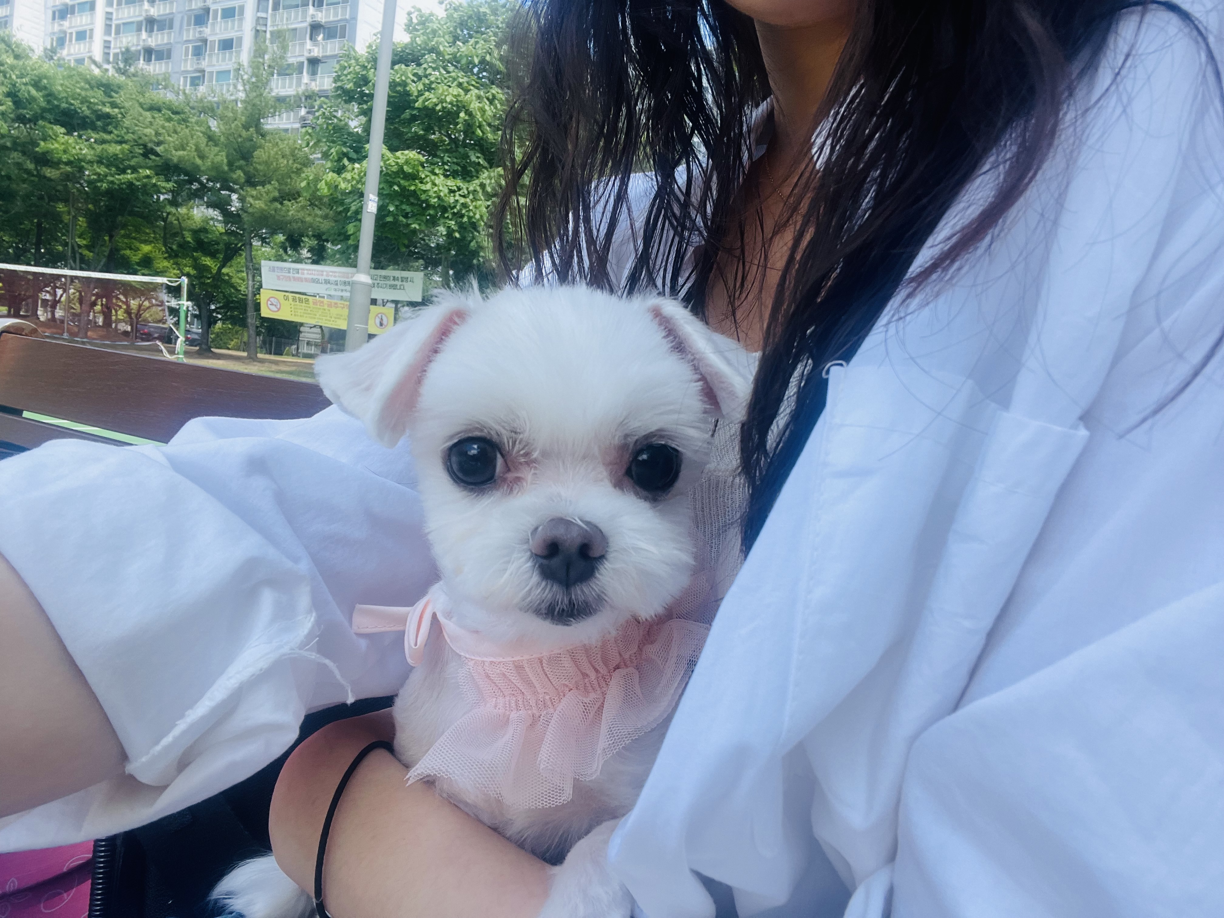 복담이(구 쁘니) 3개월차