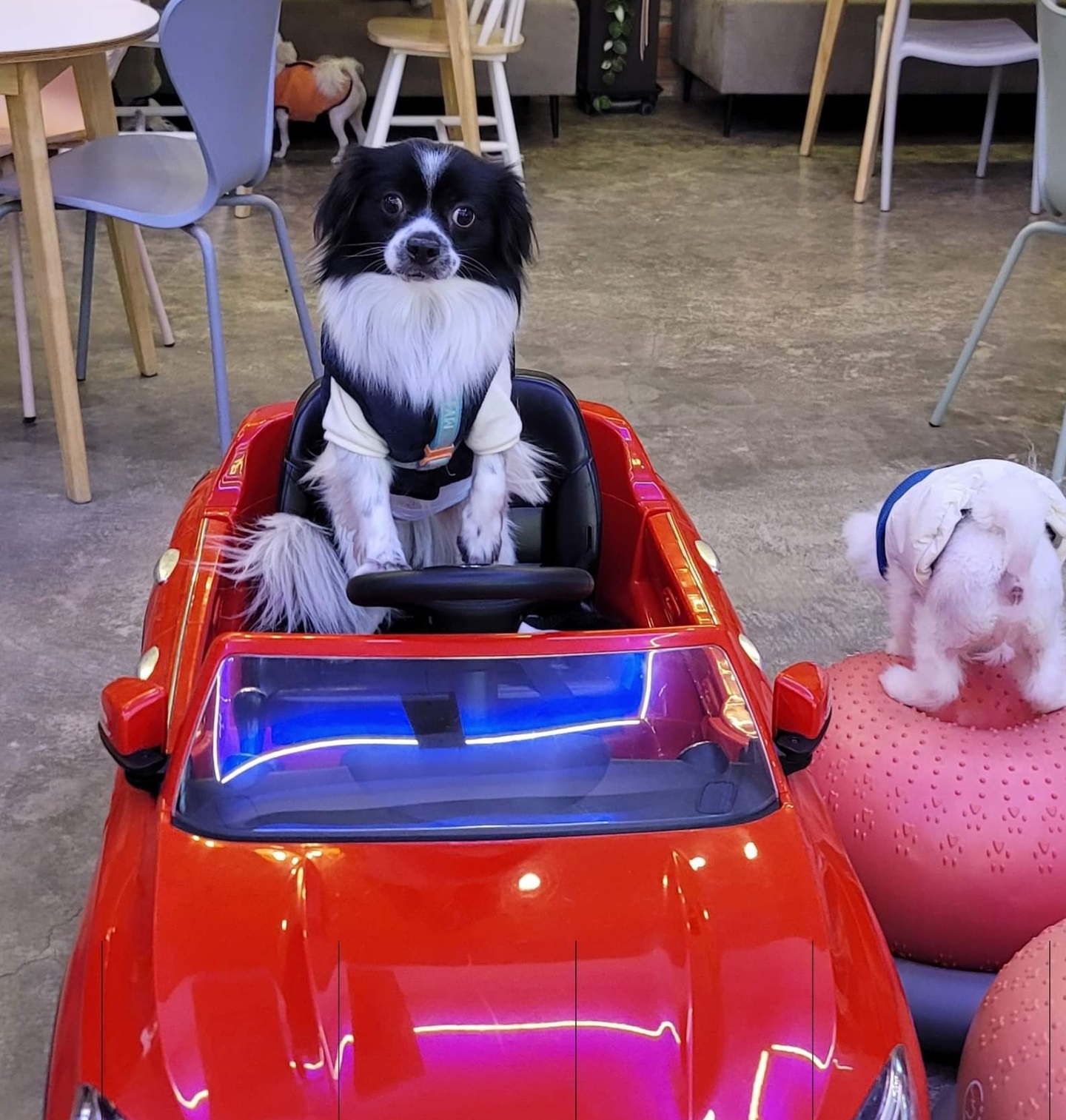 자이와 함께한 3년