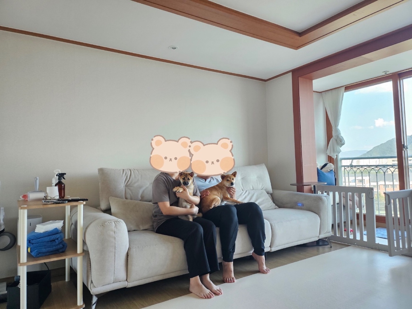 가오(쫄뭉이) 입양 한달 후기 