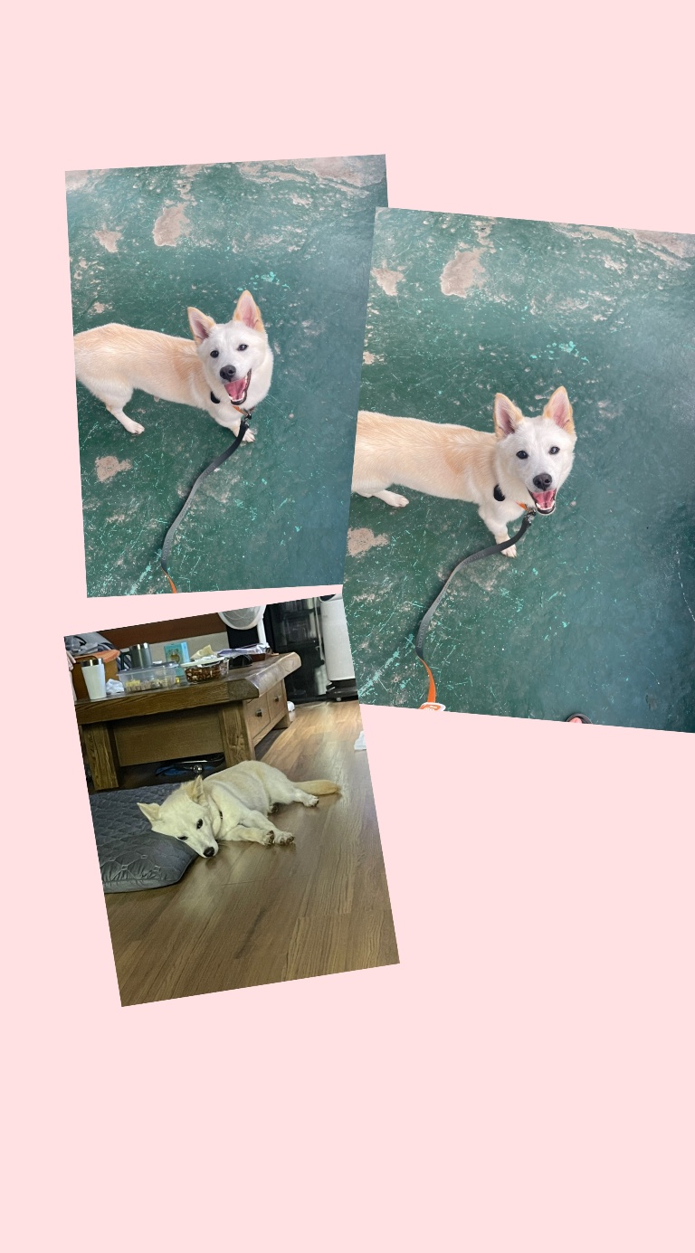 해온이의 7일 이야기