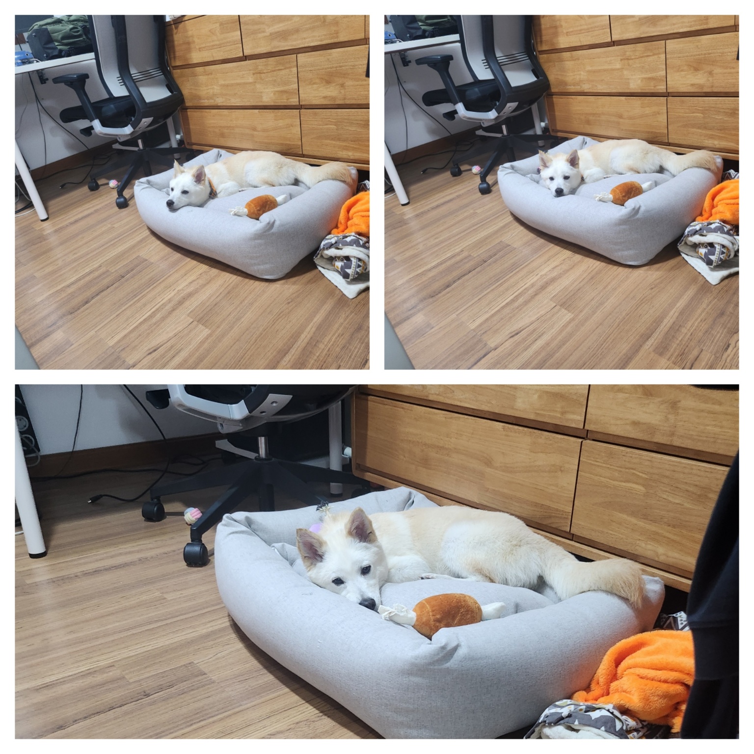 해온이의 7일 이야기