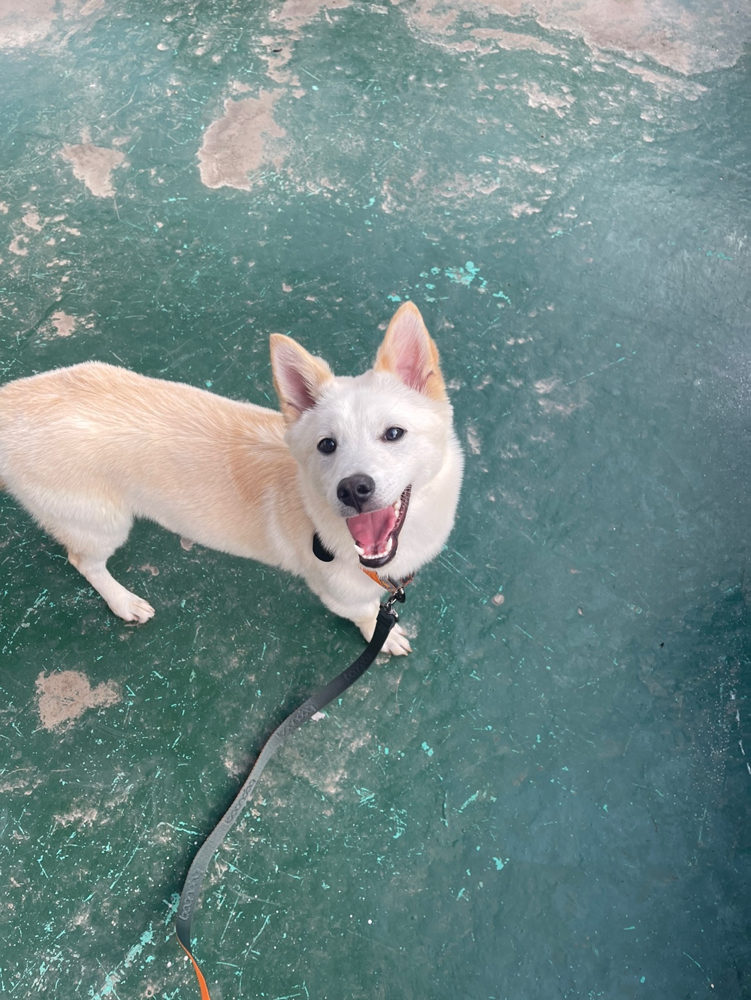 해온이의 7일 이야기