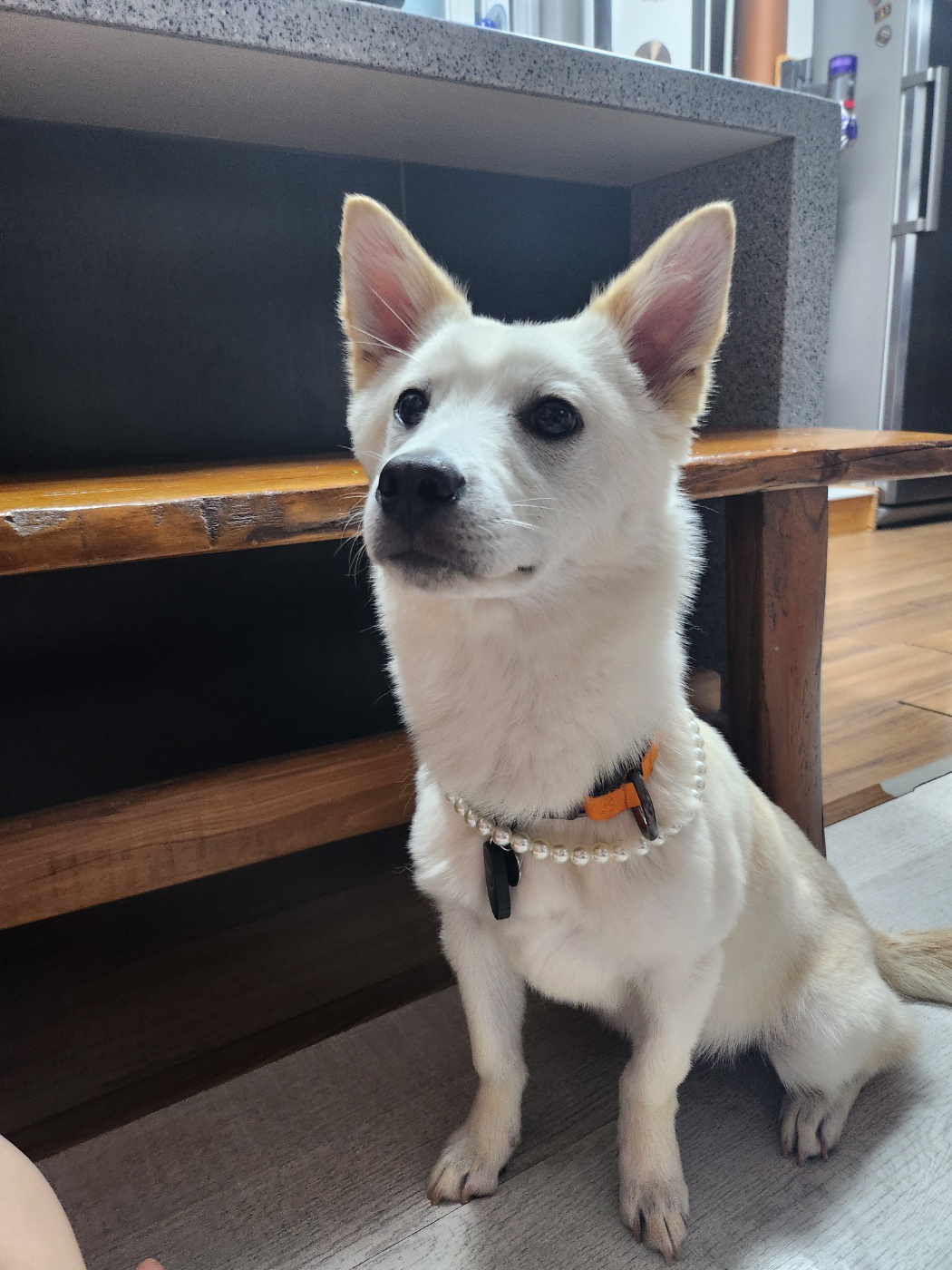 해온이의 7일 이야기