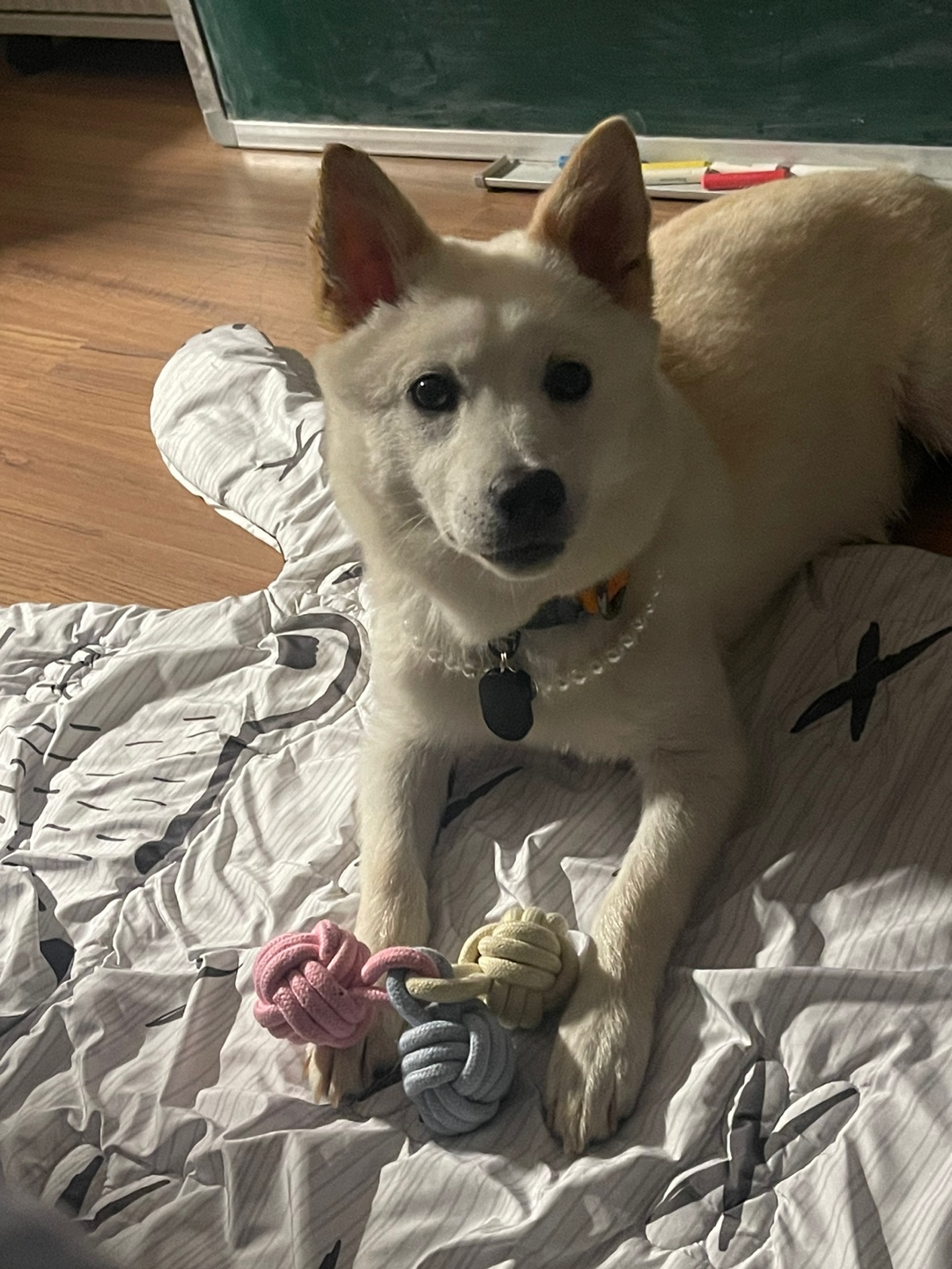 해온이의 7일 이야기