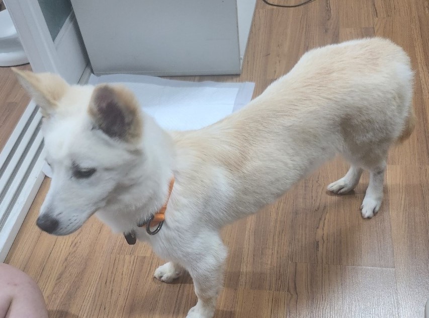 해온이의 7일 이야기