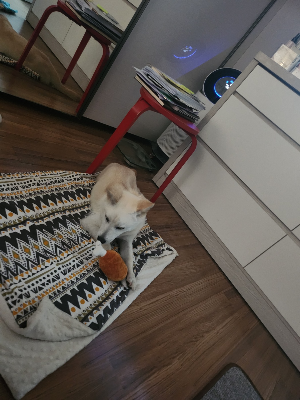 해온이의 7일 이야기