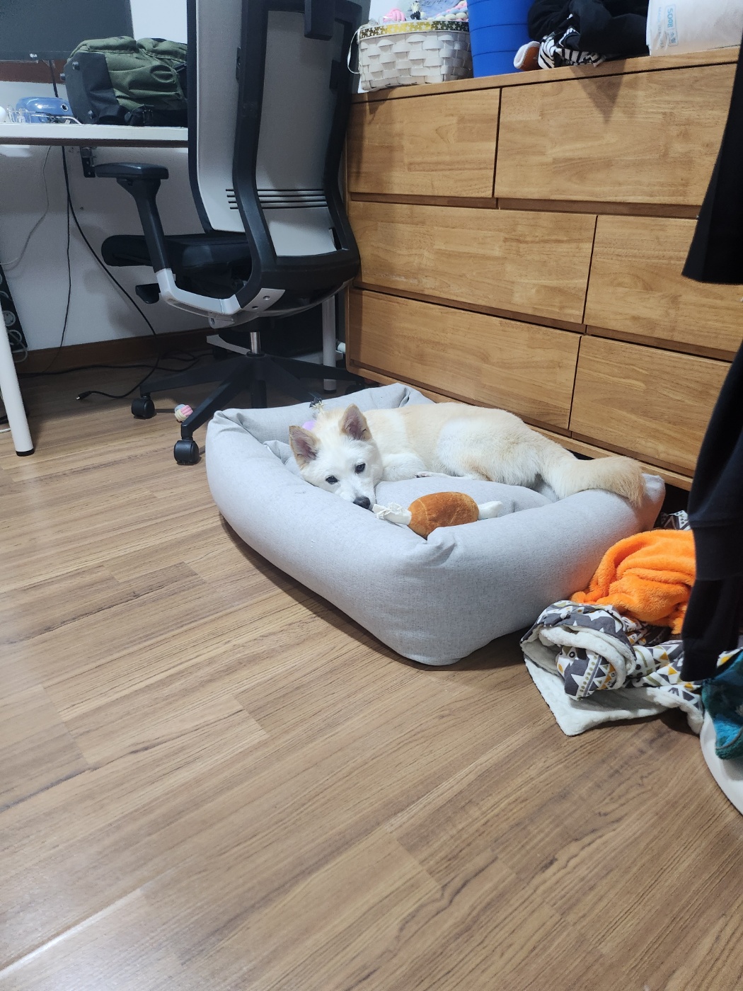 해온이의 7일 이야기