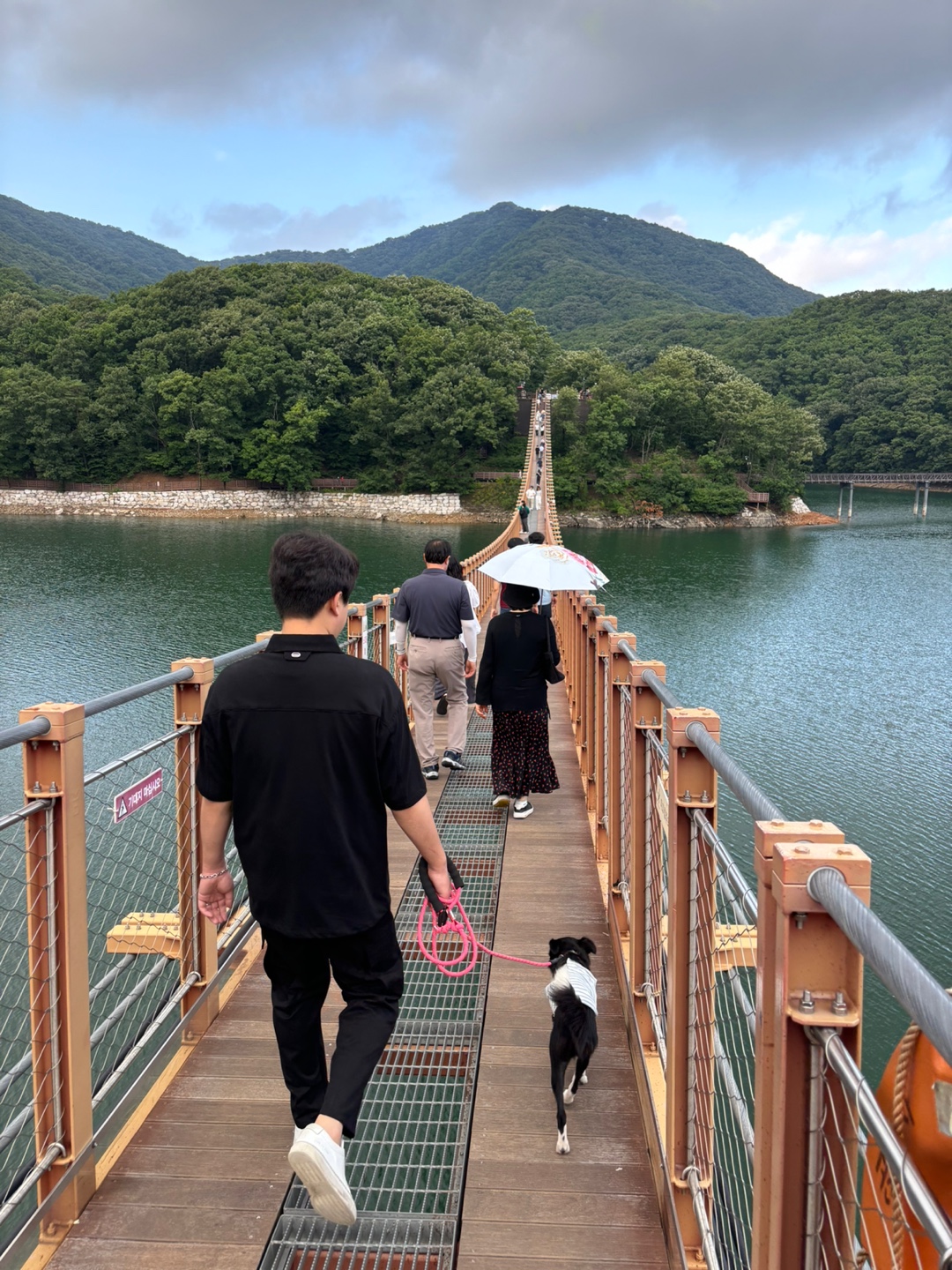 까콩이 임보 한달후기(현:셀리)