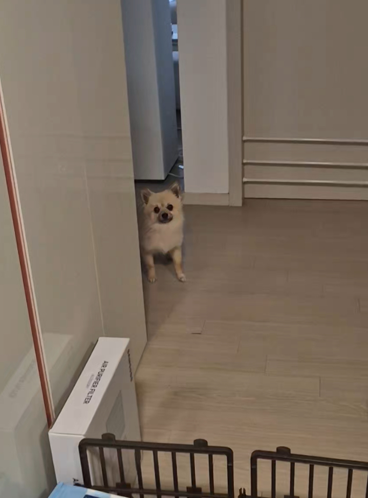 리안이 임보 한 달 후기