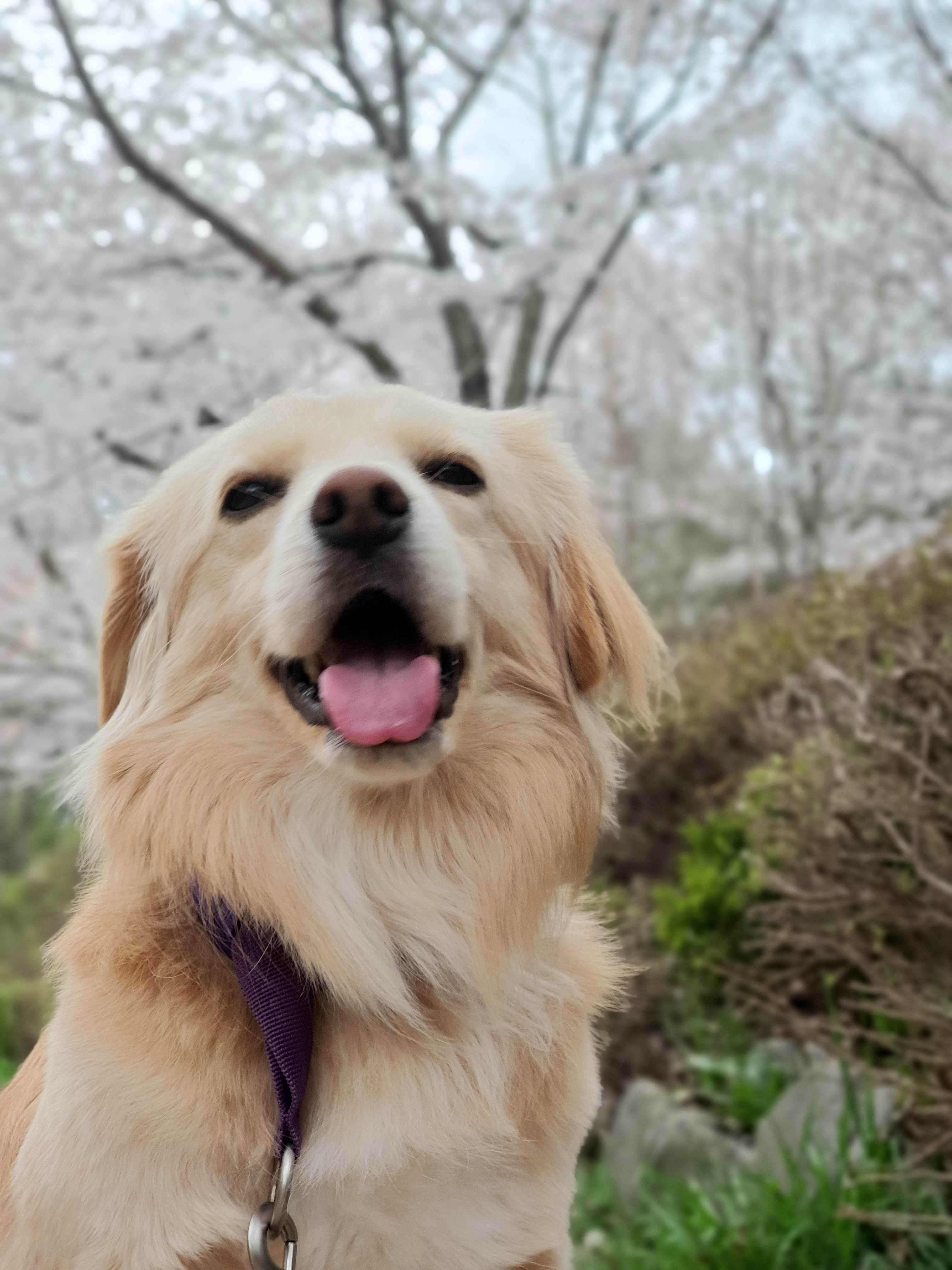 자몽이(구 육콩이)와 1년