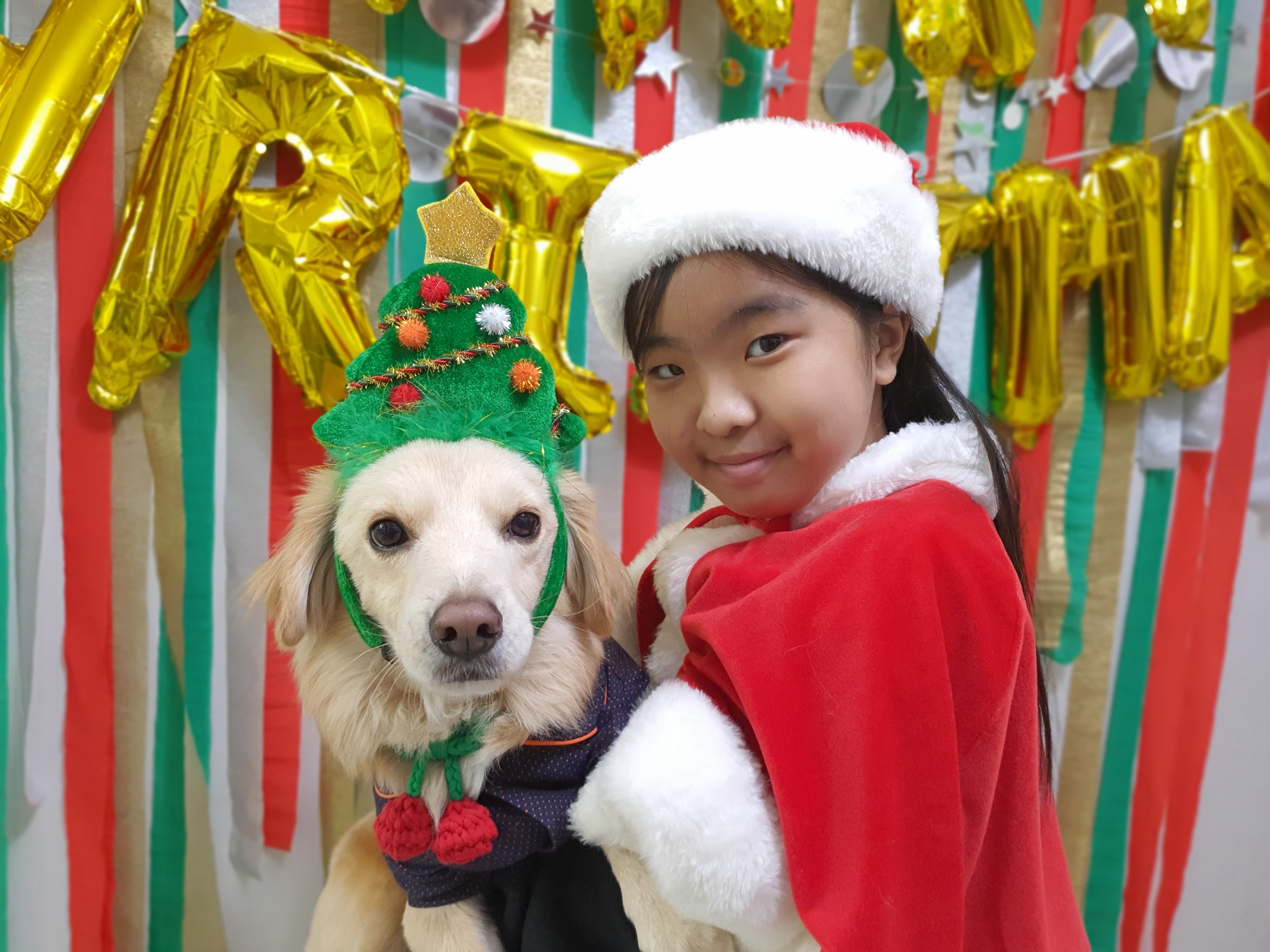 자몽이(구 육콩이)와 1년
