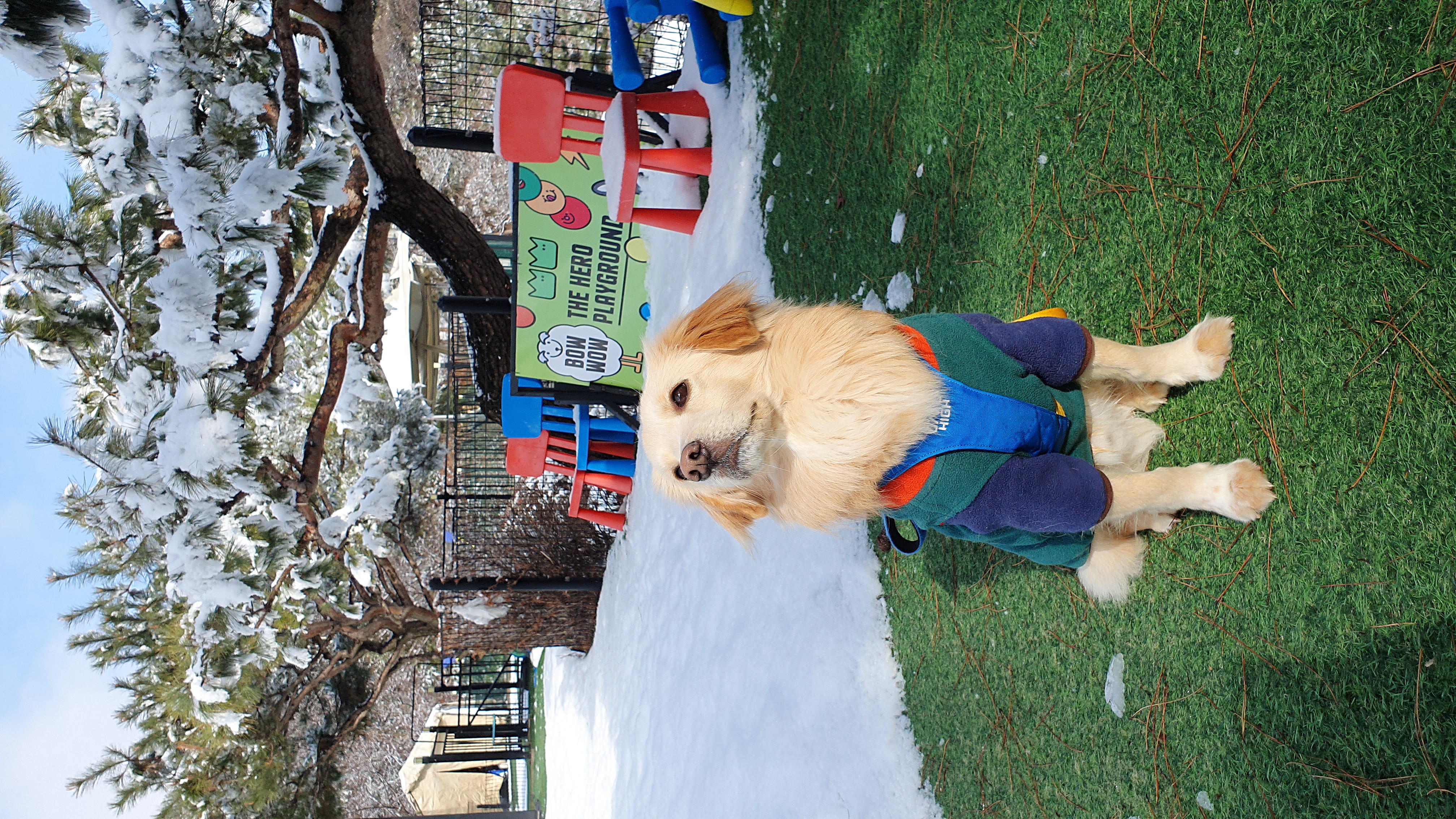 자몽이(구 육콩이)와 1년