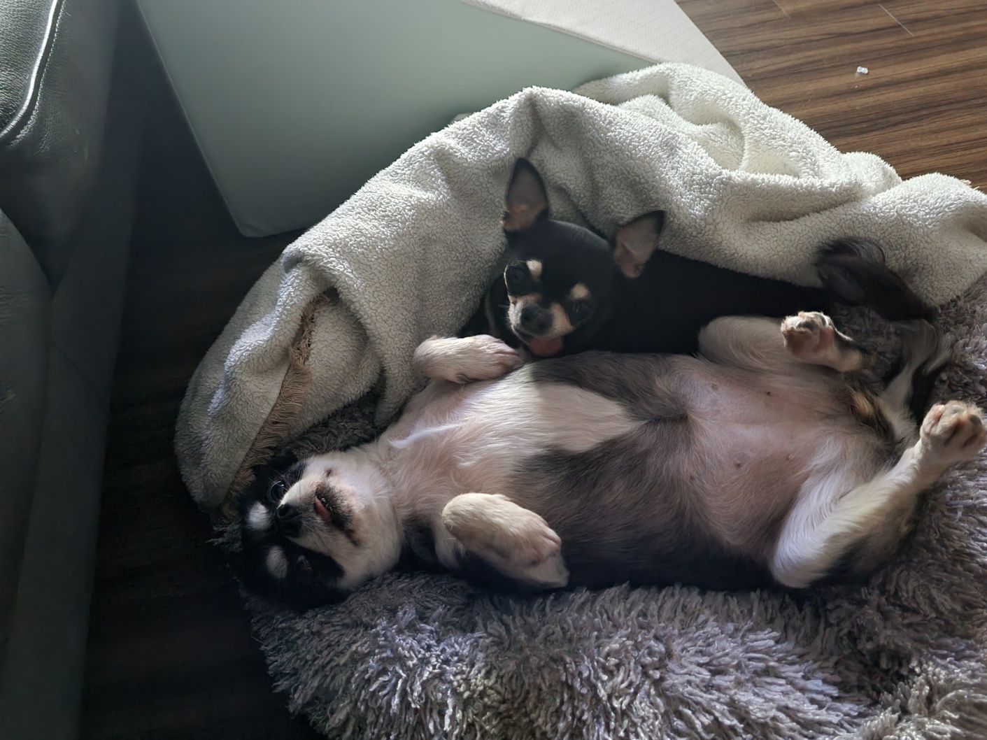 나미 잘 있어요!