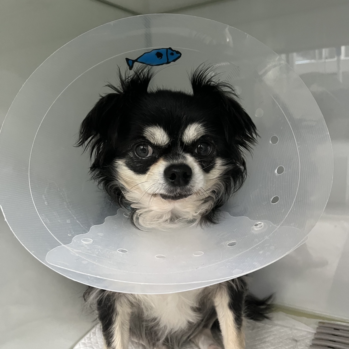 나미 잘 있어요!