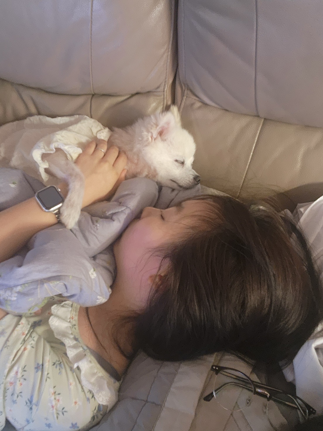 뽀미(구 뽀얀) 벌써 3개월 됬네요