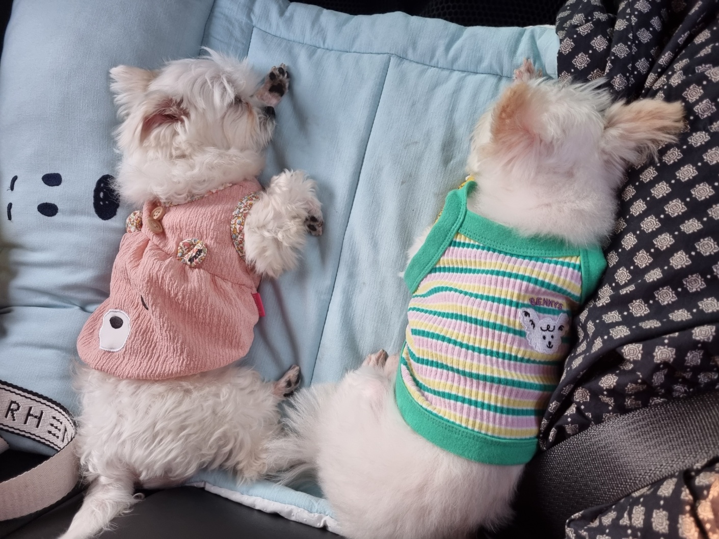 [임보] 마리와 맞는 여름~