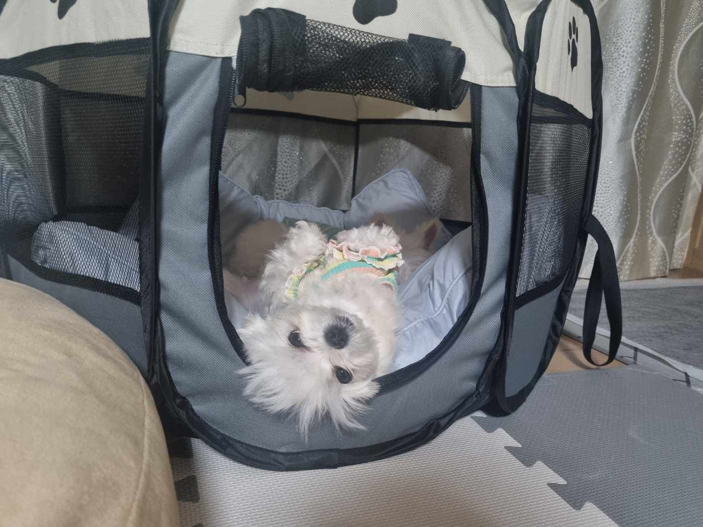 [임보] 마리와 맞는 여름~