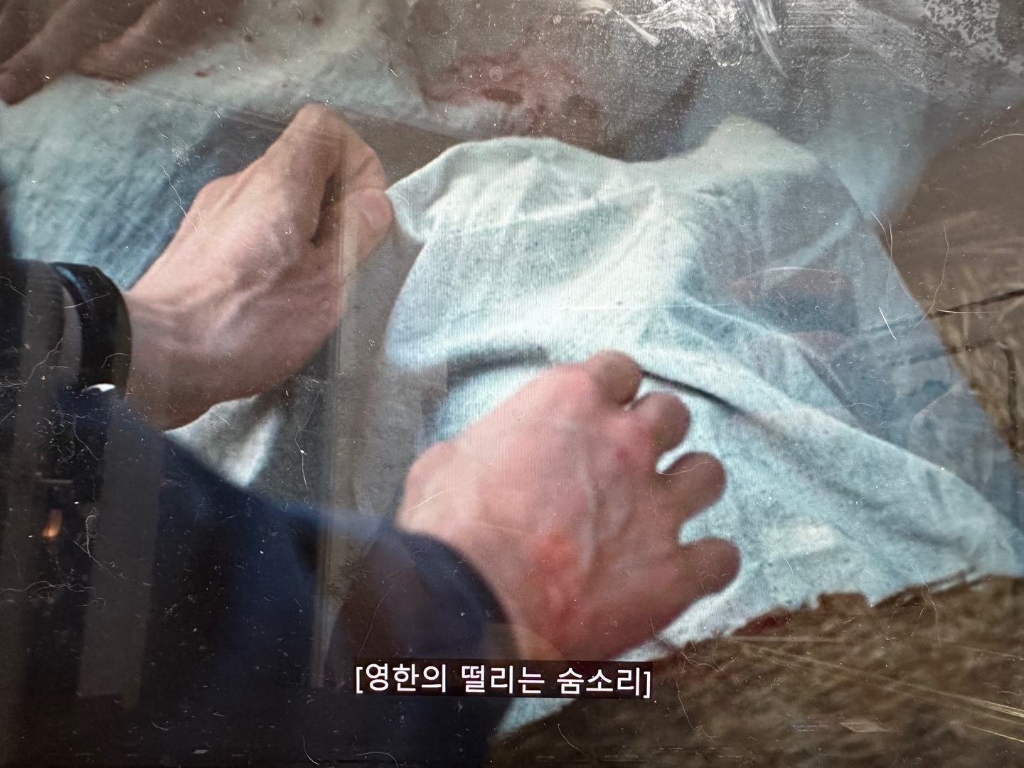 안녕하세요 율무(수미) 입양 3개월 후기입니다 