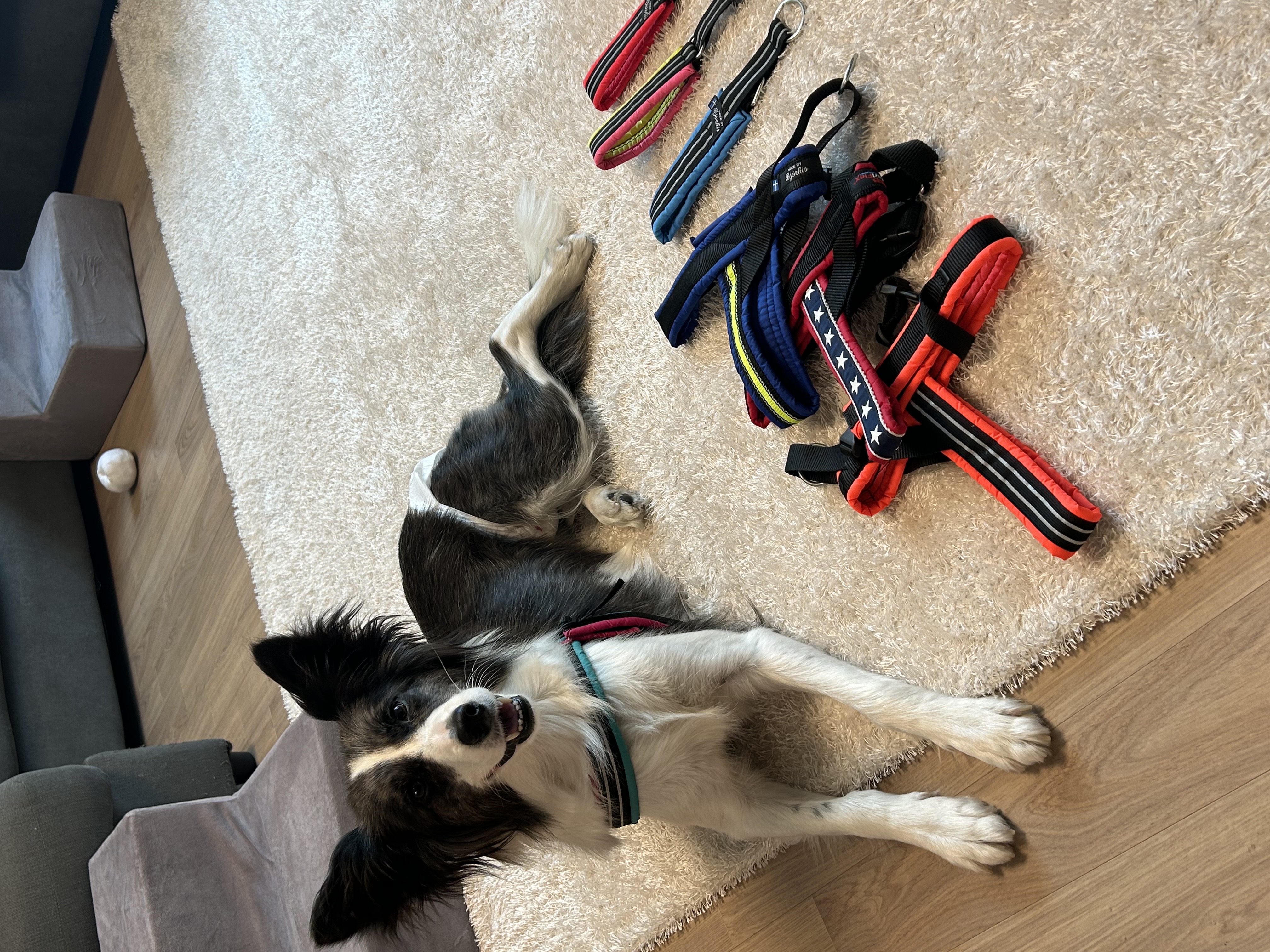 릴리안에서 밀리로 