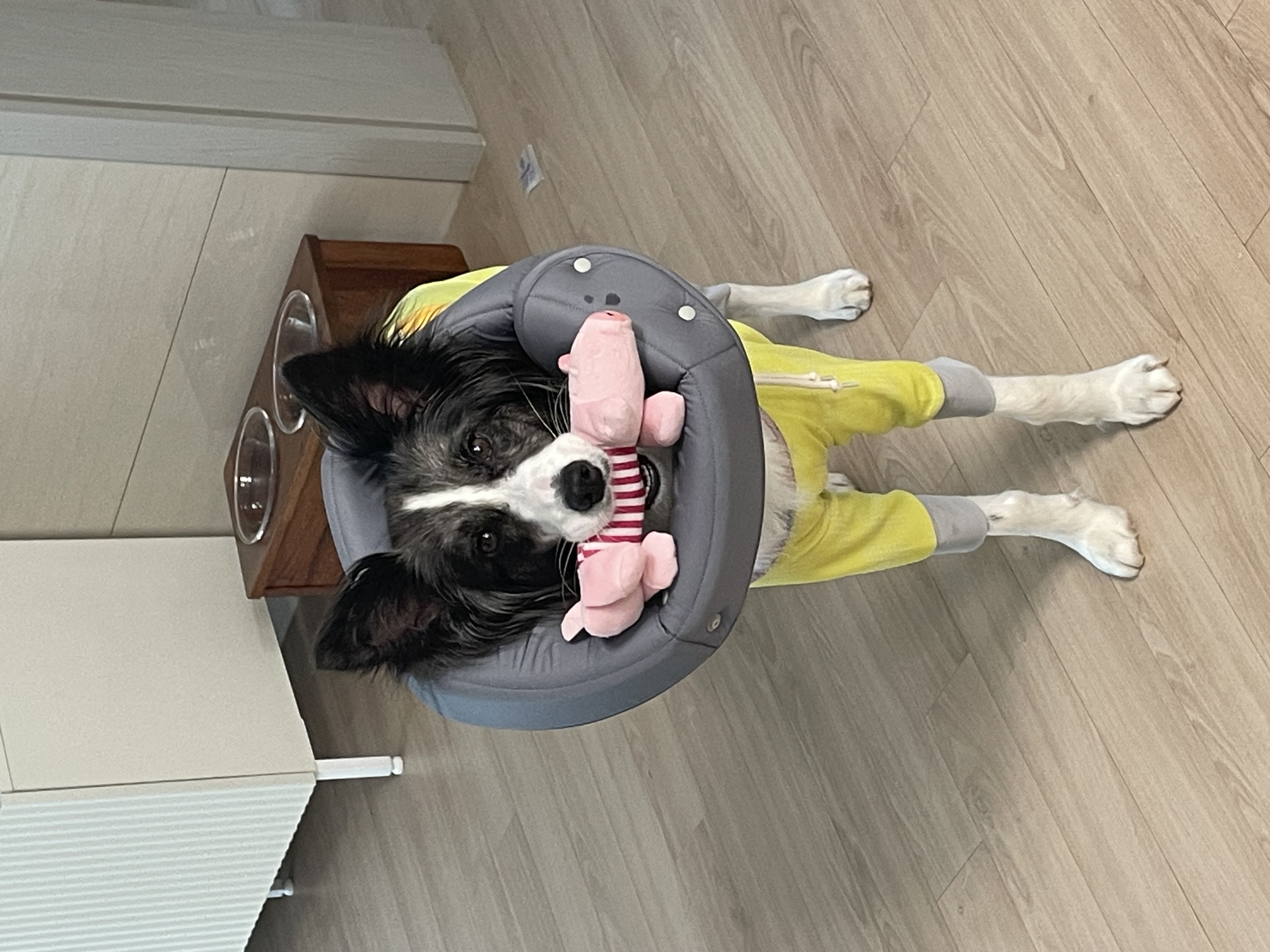 릴리안에서 밀리로 