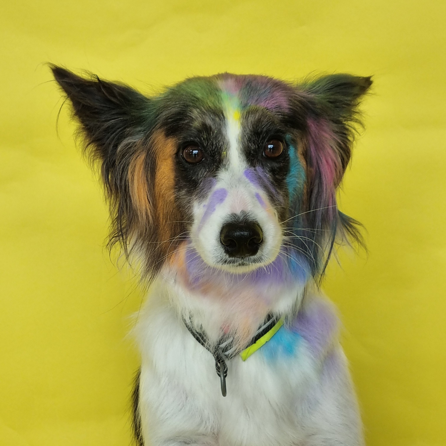 릴리안에서 밀리로 