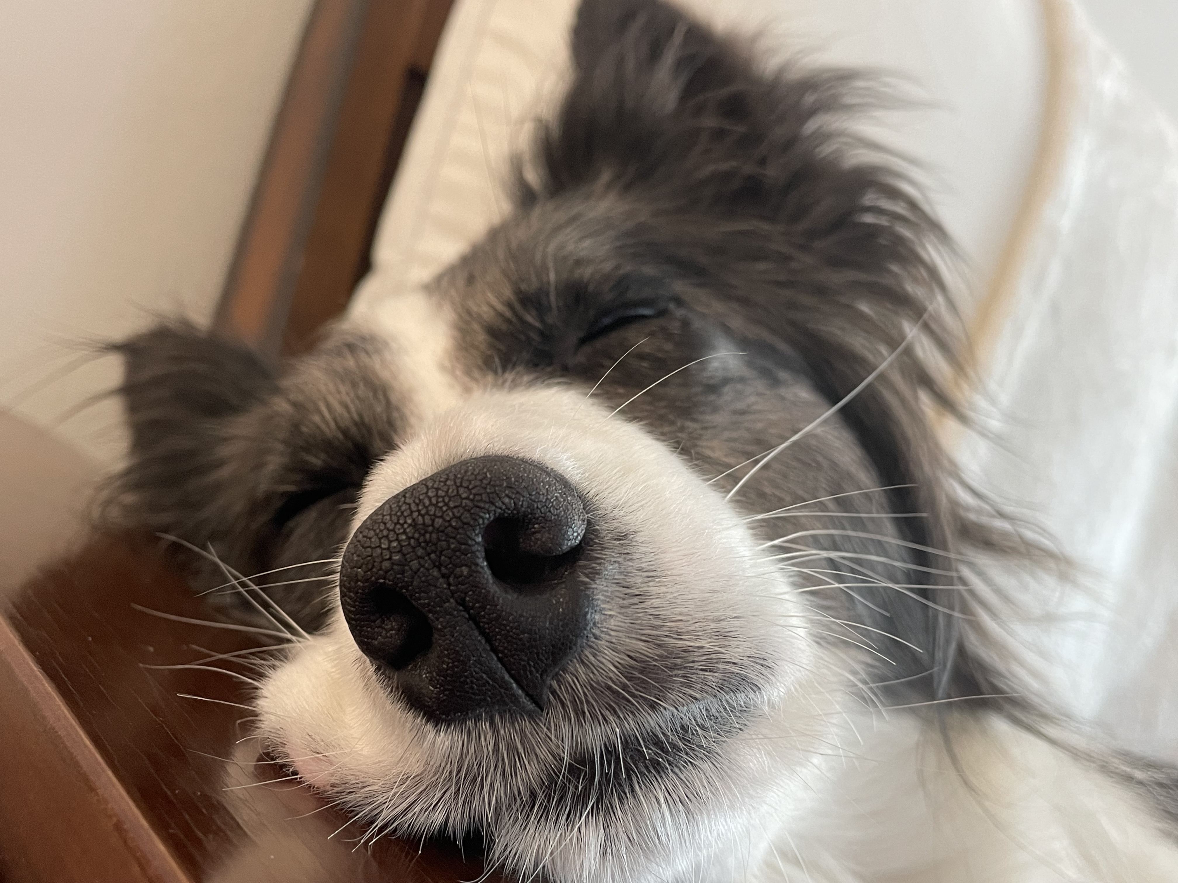 릴리안에서 밀리로 