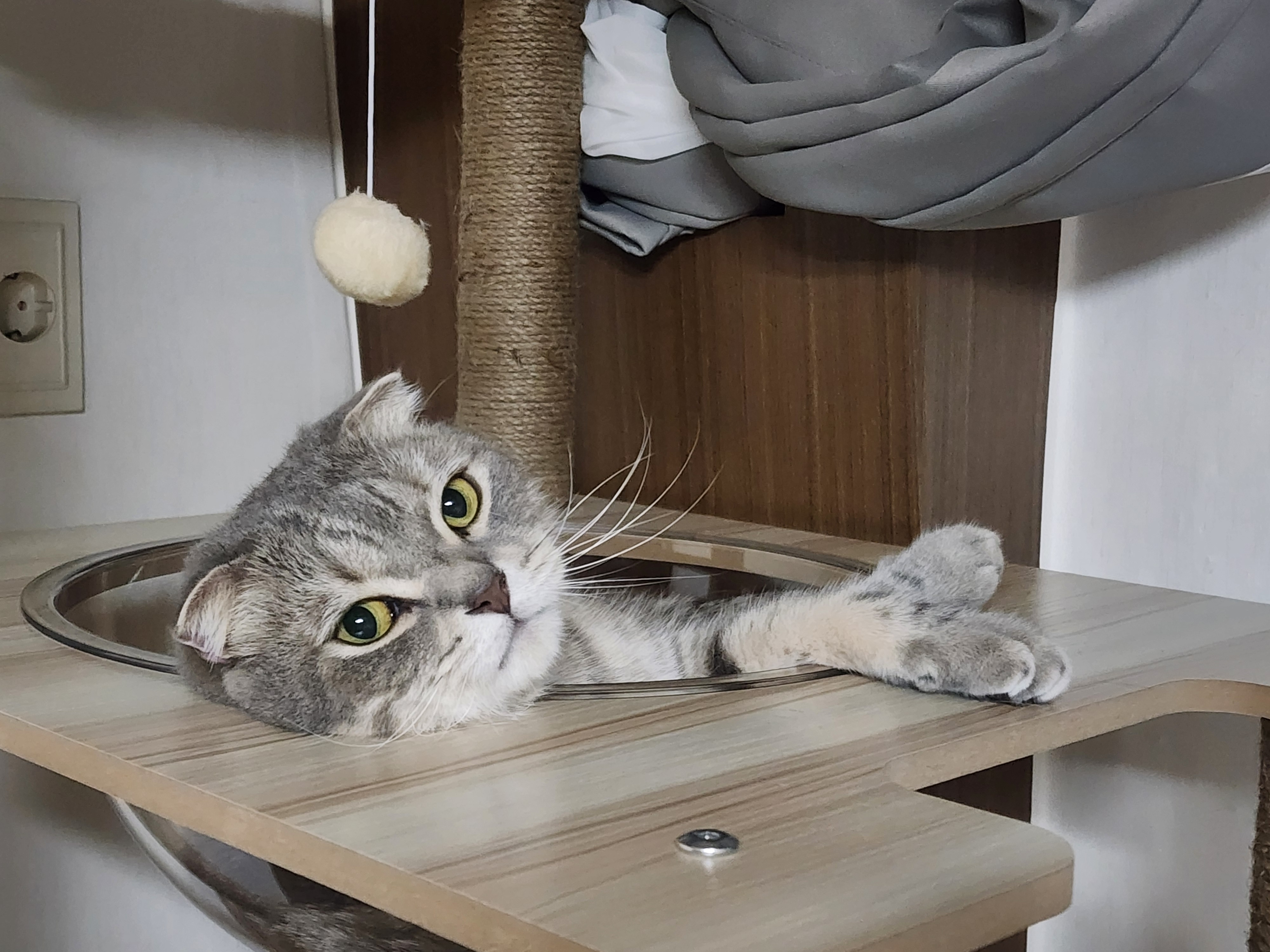 구 정민이 현 타코 이야기