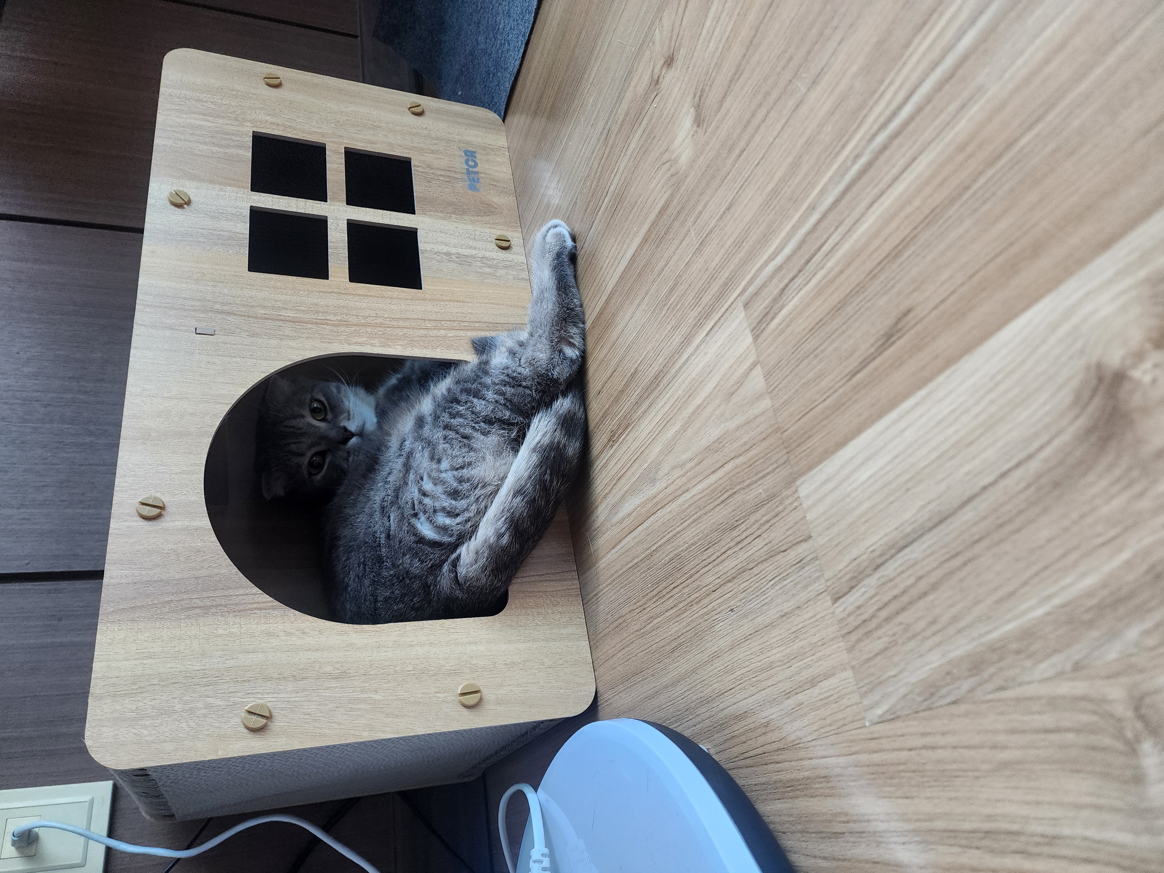 구 정민이 현 타코 이야기