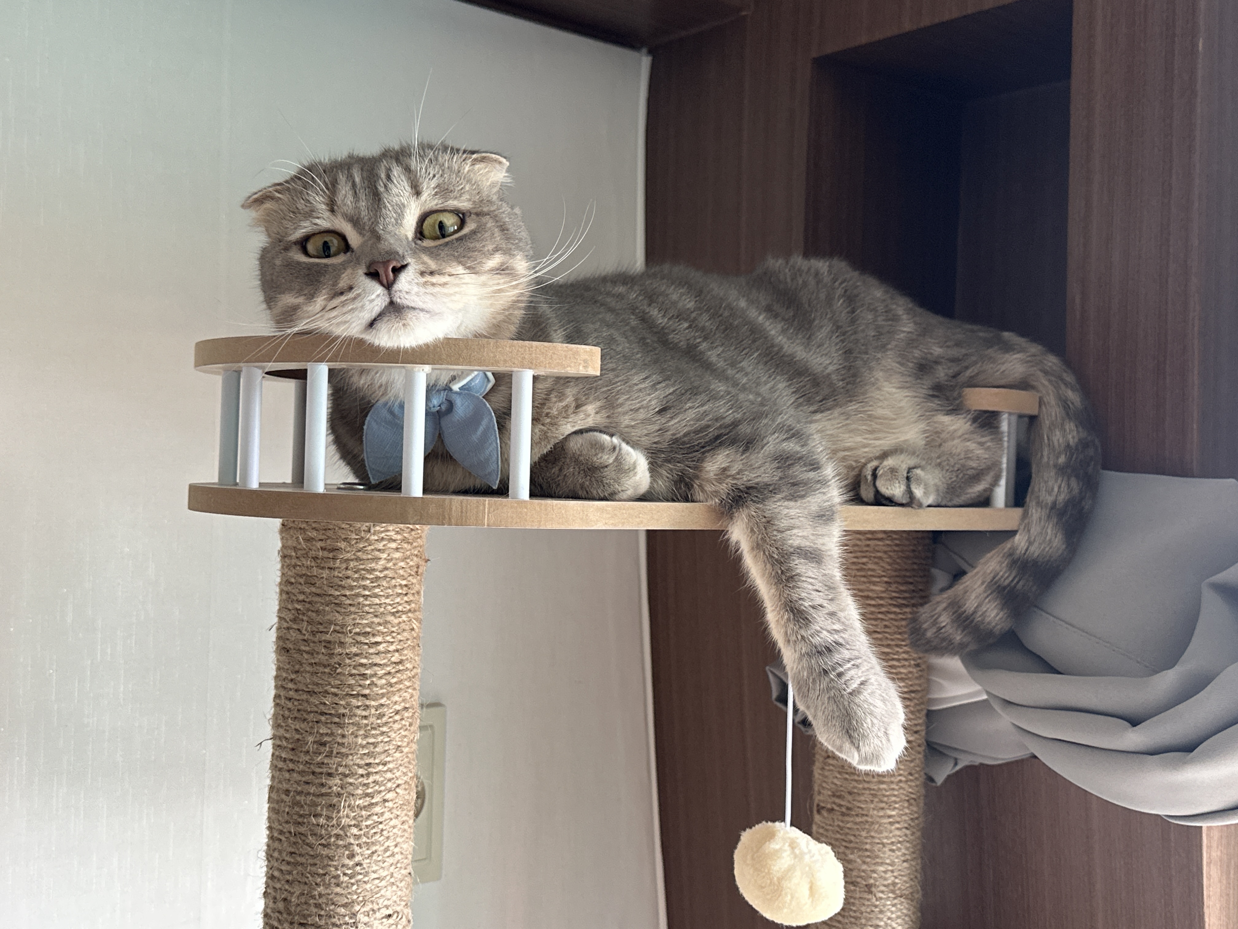 구 정민이 현 타코 이야기