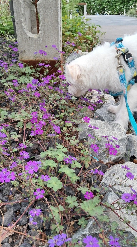 이브(원투) 행복한 시간을 보내고있습니다.