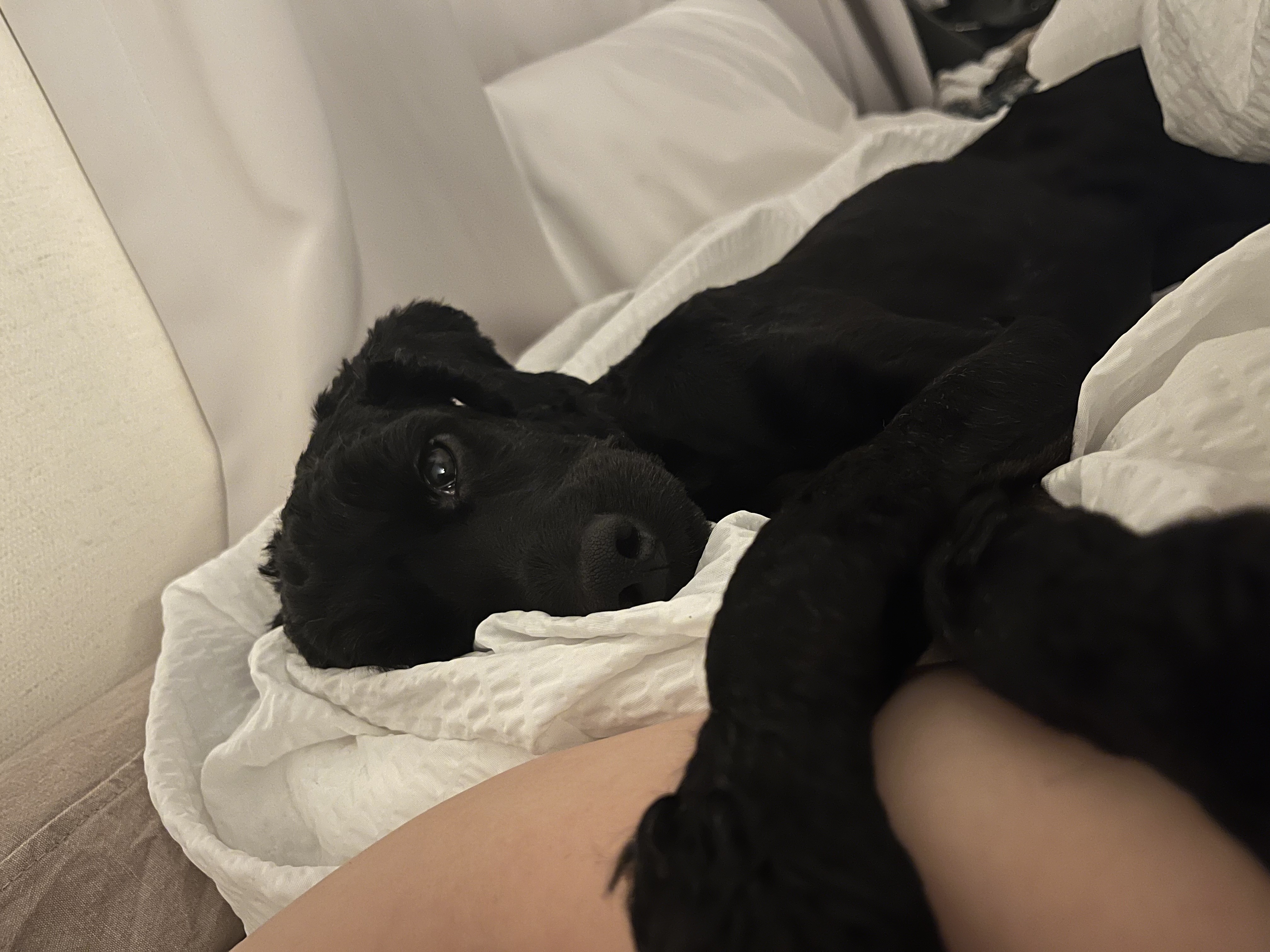 쿠스코 임보 1주차 일기