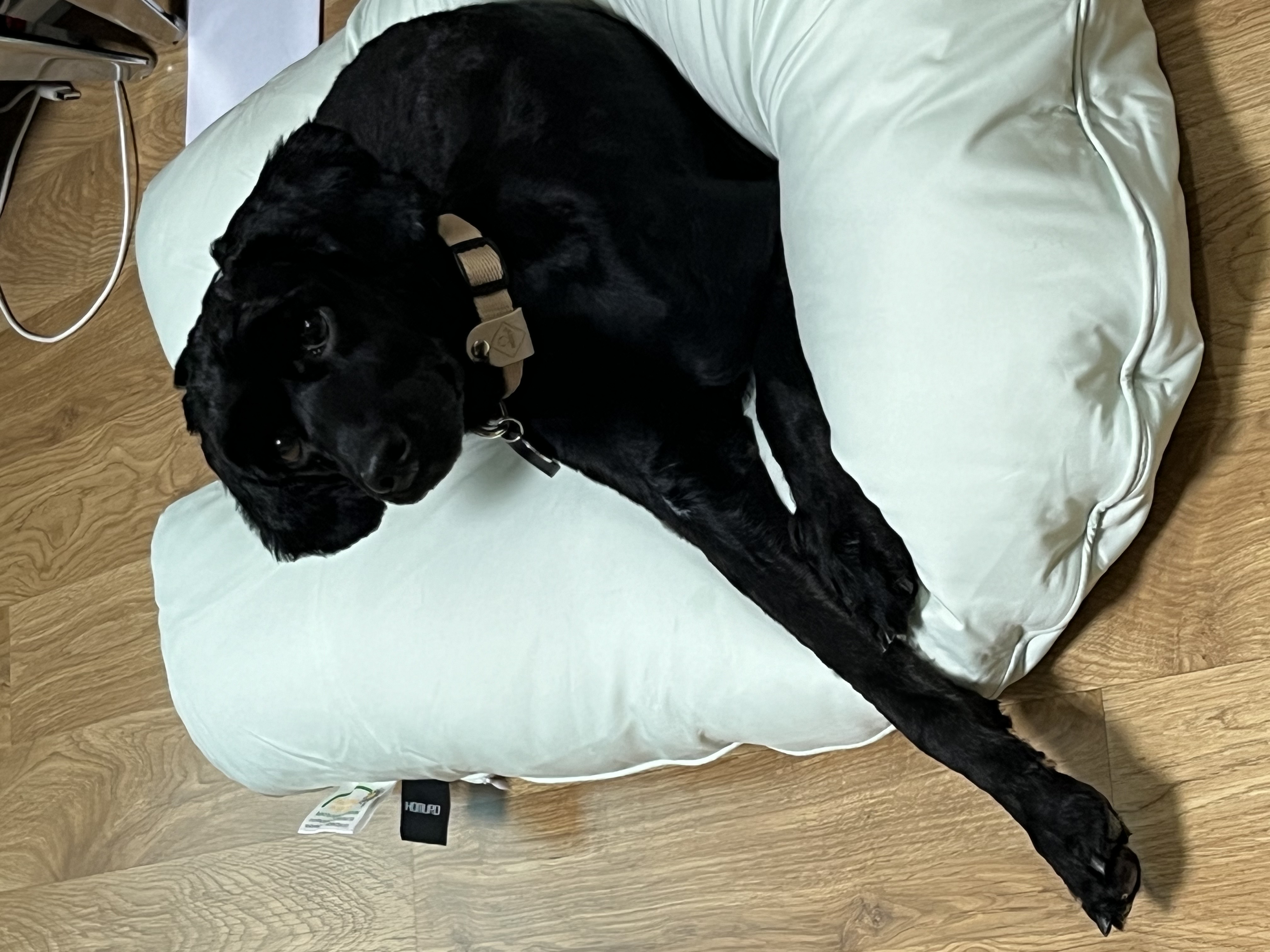 쿠스코 임보 1주차 일기