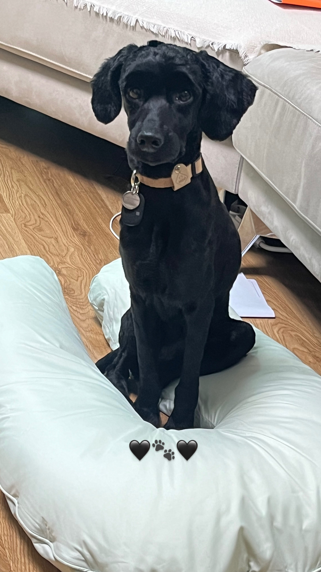 쿠스코 임보 1주차 일기