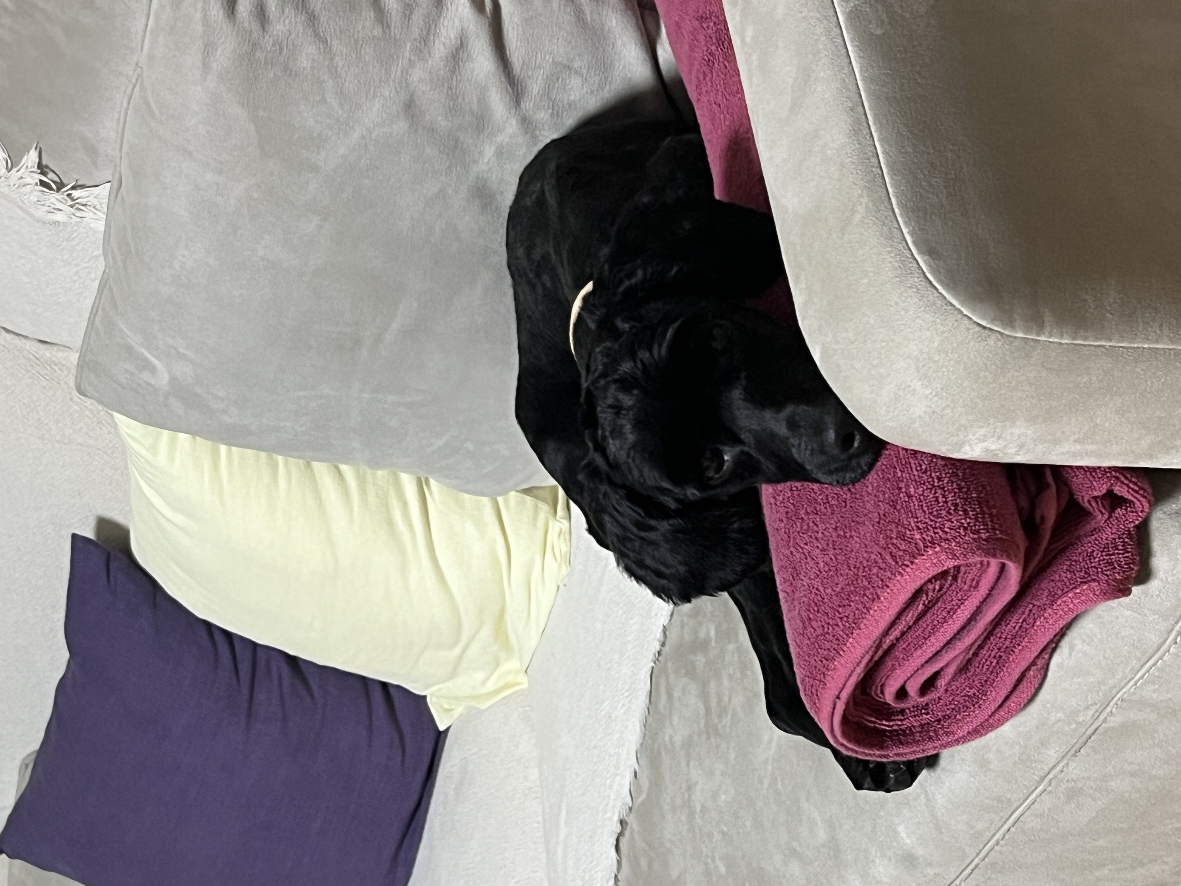 쿠스코 임보 1주차 일기