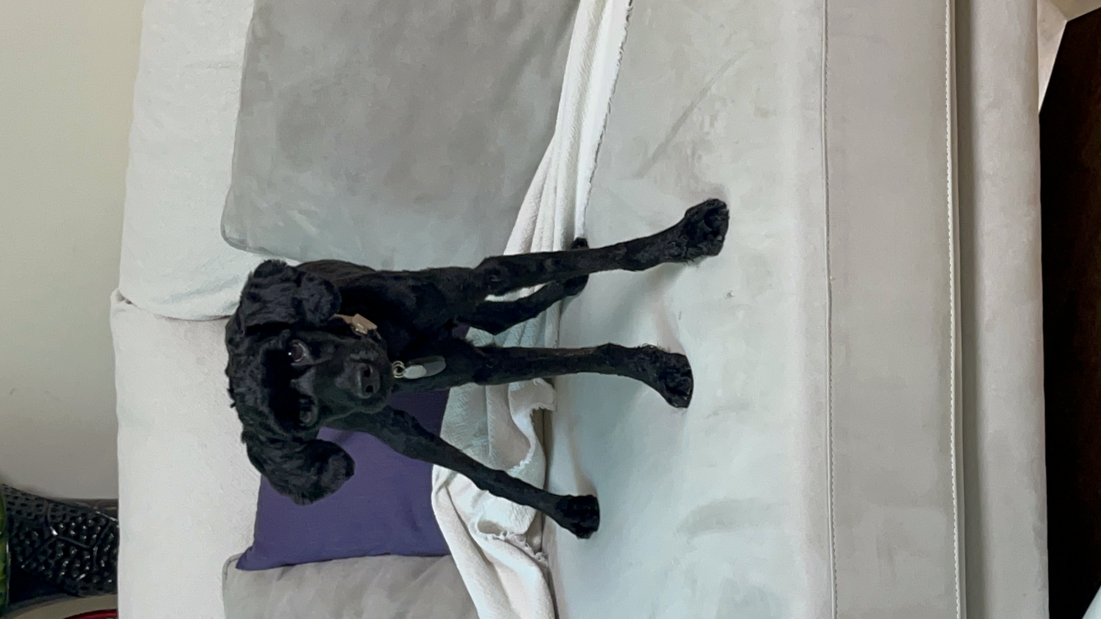 쿠스코 임보 1주차 일기